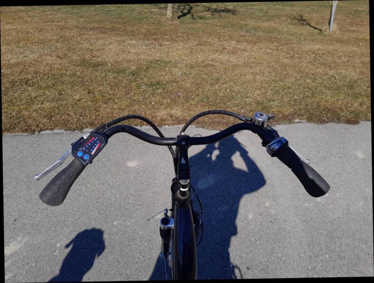 Damen Fahrrad E-Bike 3