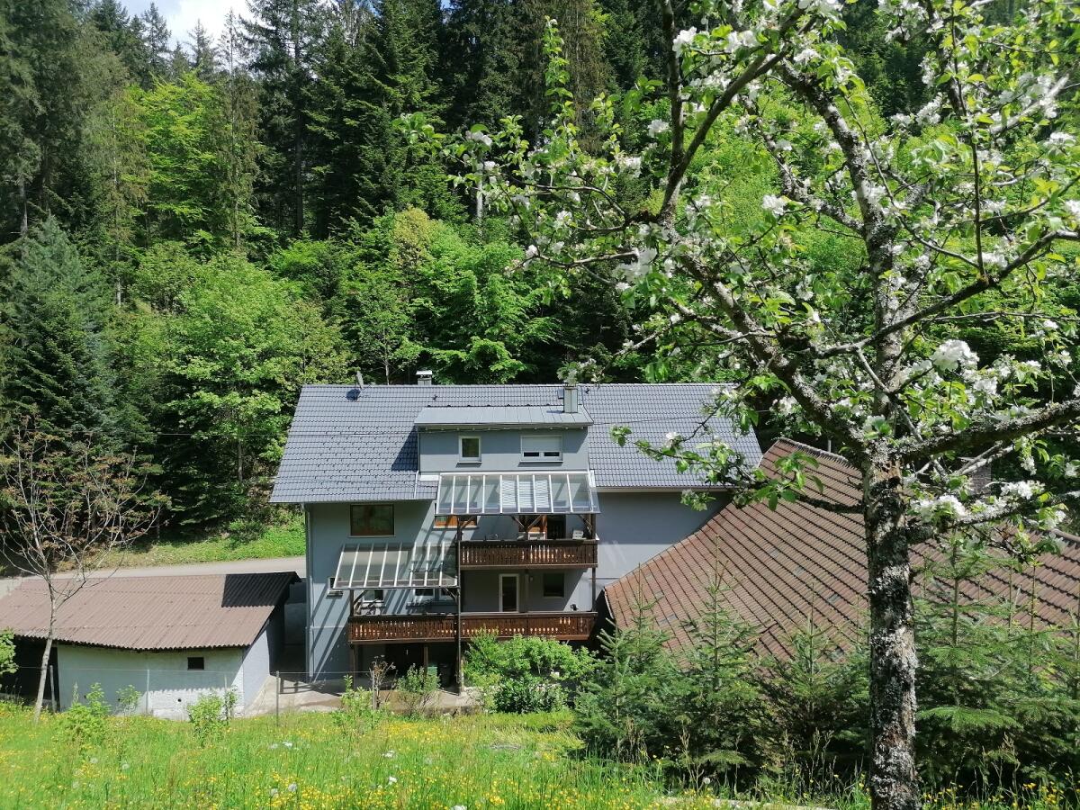 Einzigartiges Mehrfamilienhaus/Bauernhof mit 3,7 ha Fläche 2