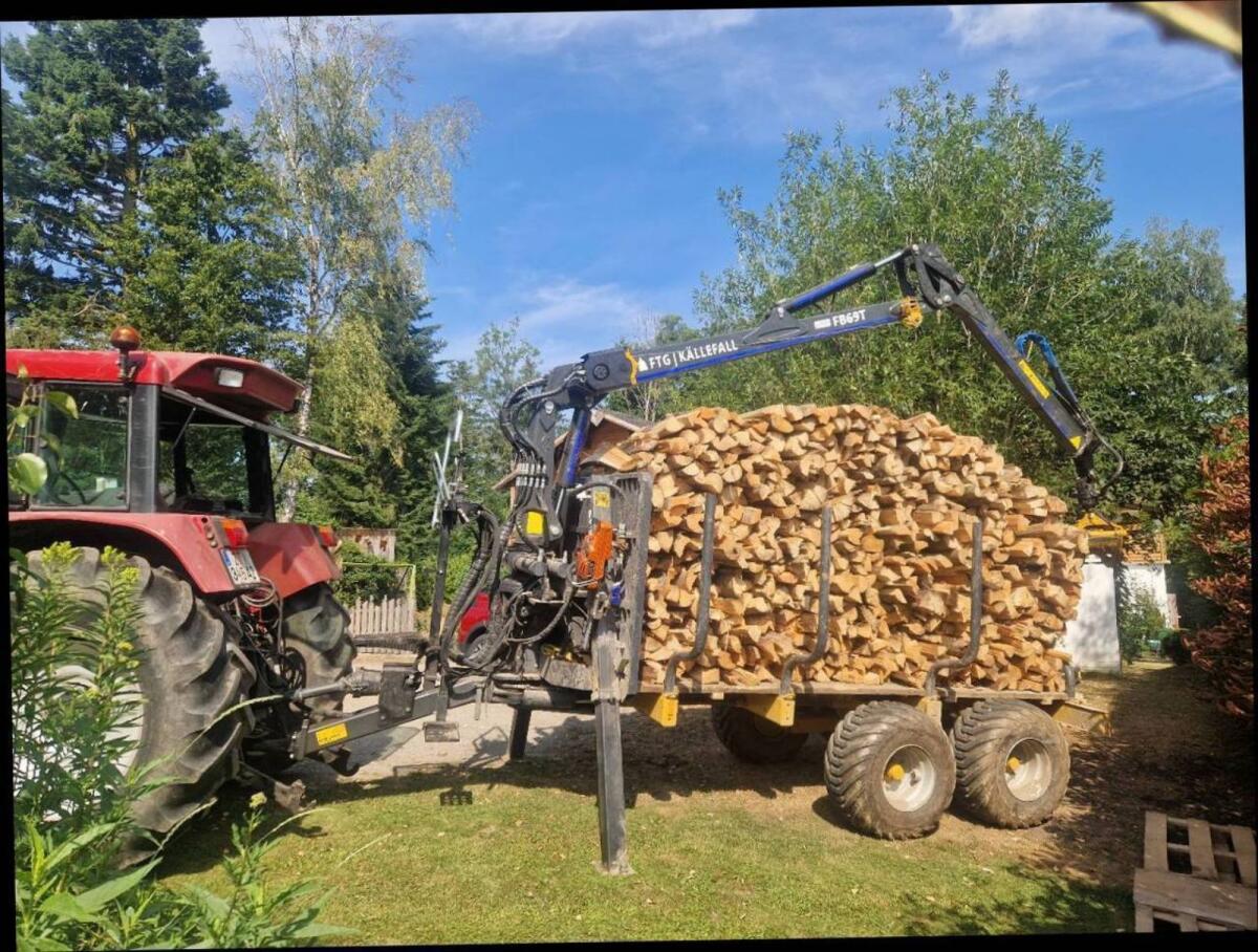 Brennholz 2