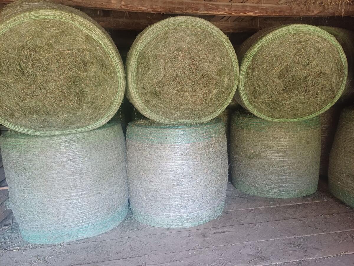 Heuballen 2. Schnitt 1