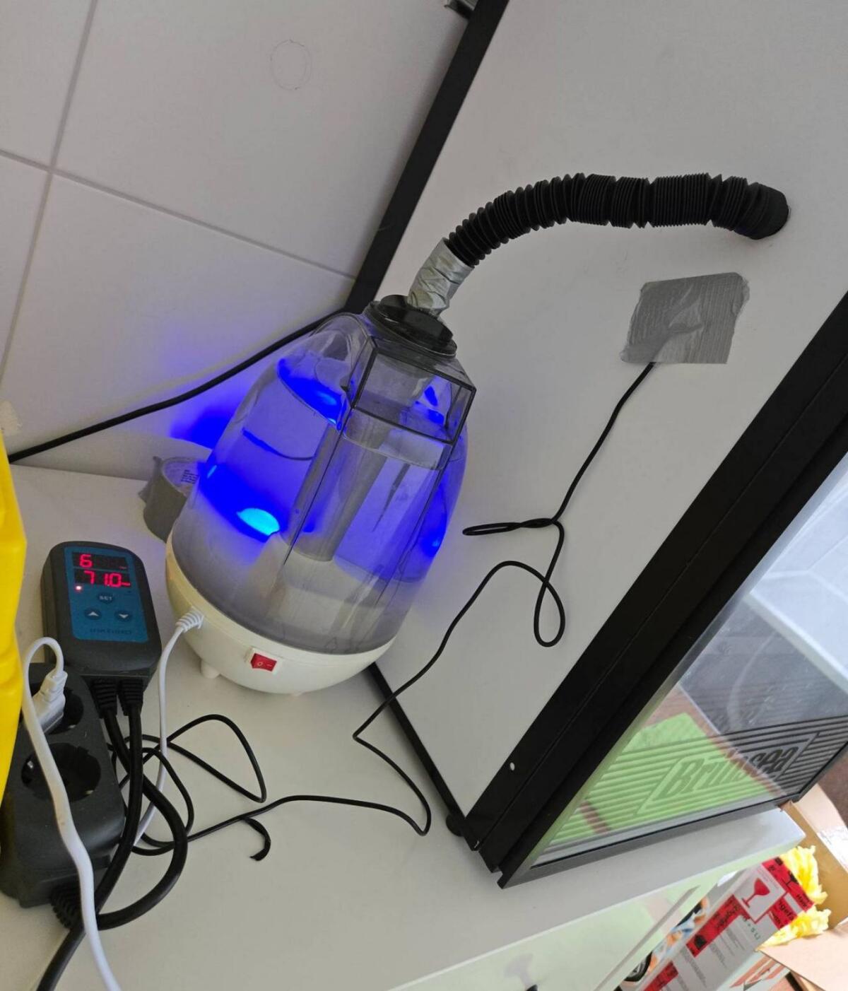 Brinsea OvaEasy II 100 Brutautomat 2