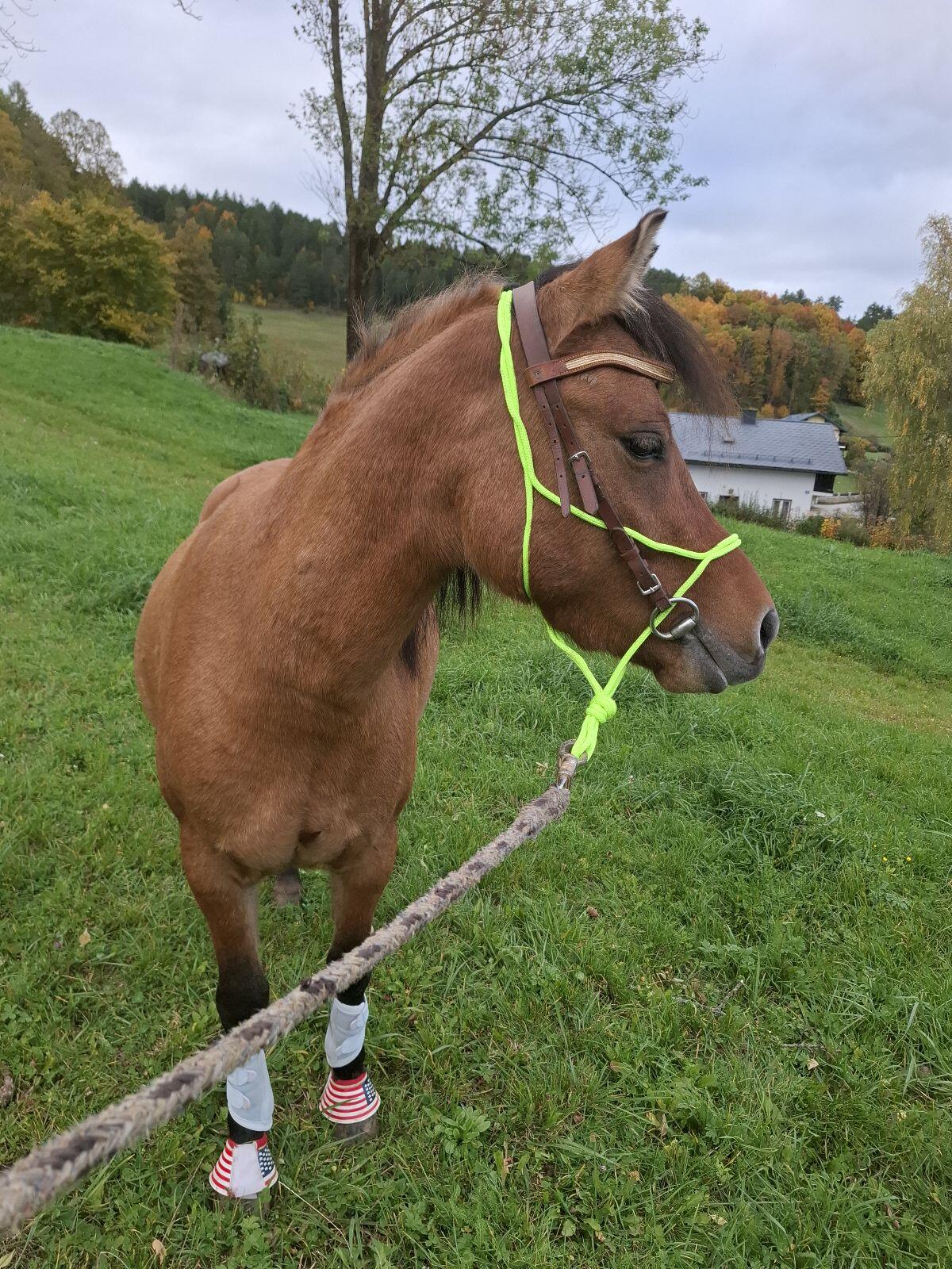 Suche Einstellplatz 1