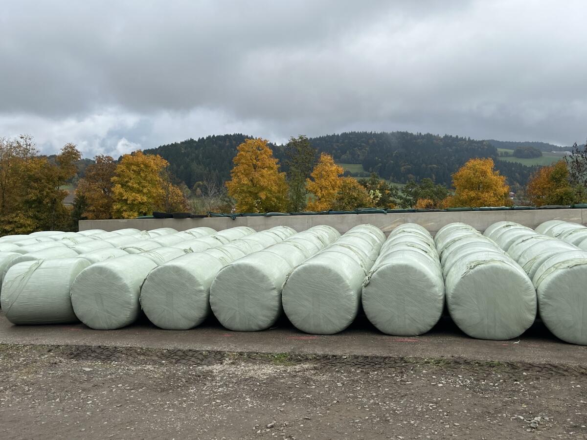 Verkaufe Silomaisballen 1