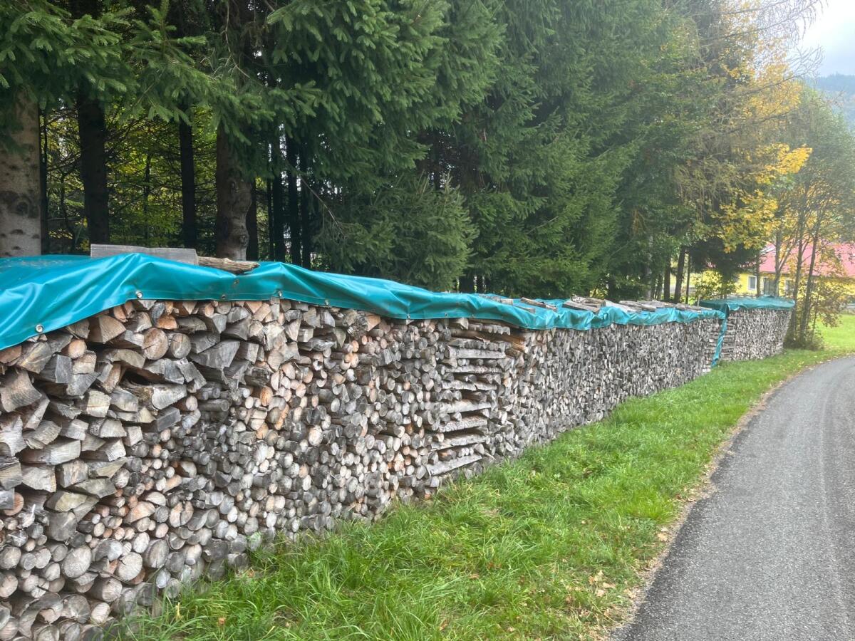 Brennholz 1