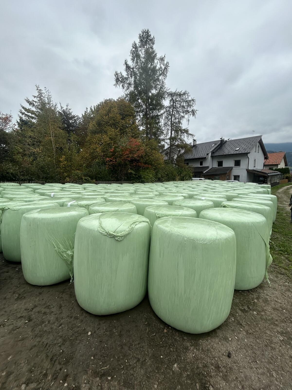 Mais-Silo-Ballen 1
