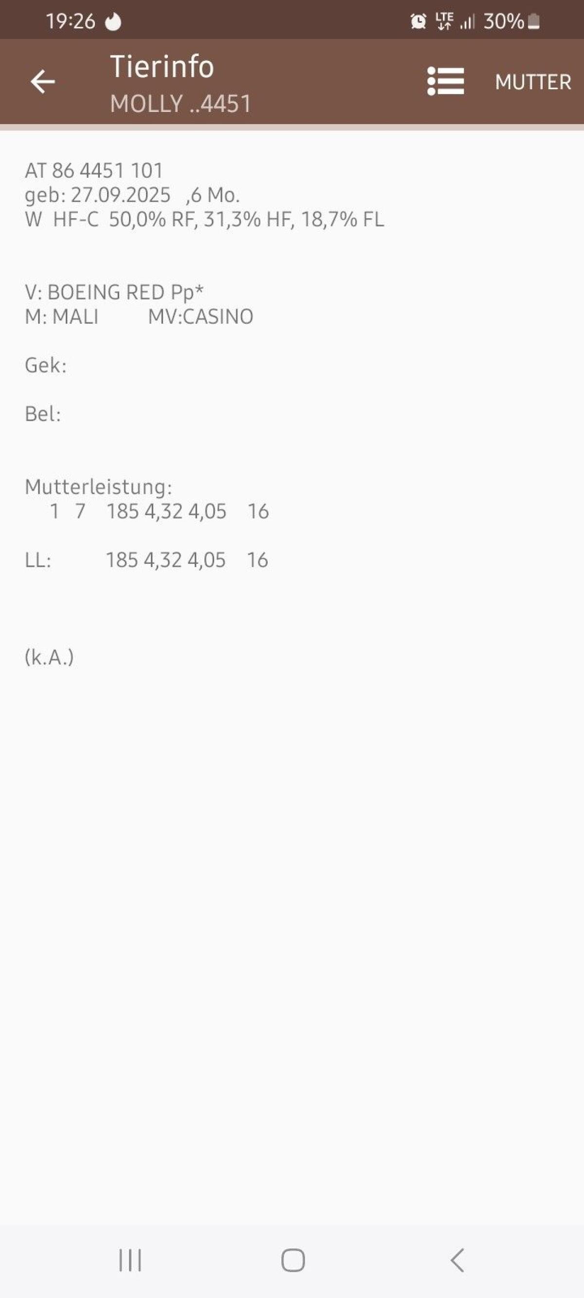 HF Kalb zu verkaufen 3