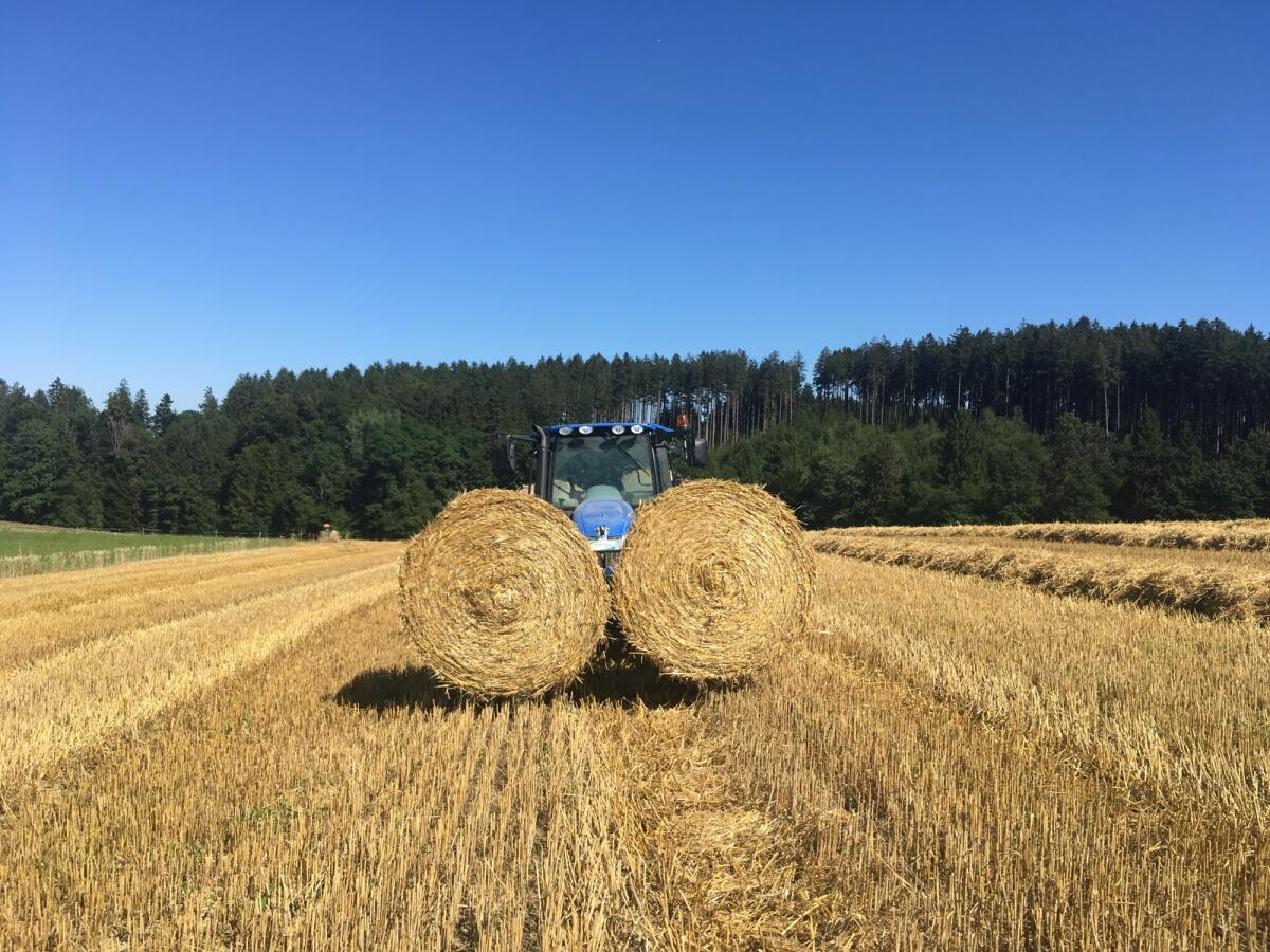 Strohballen 2