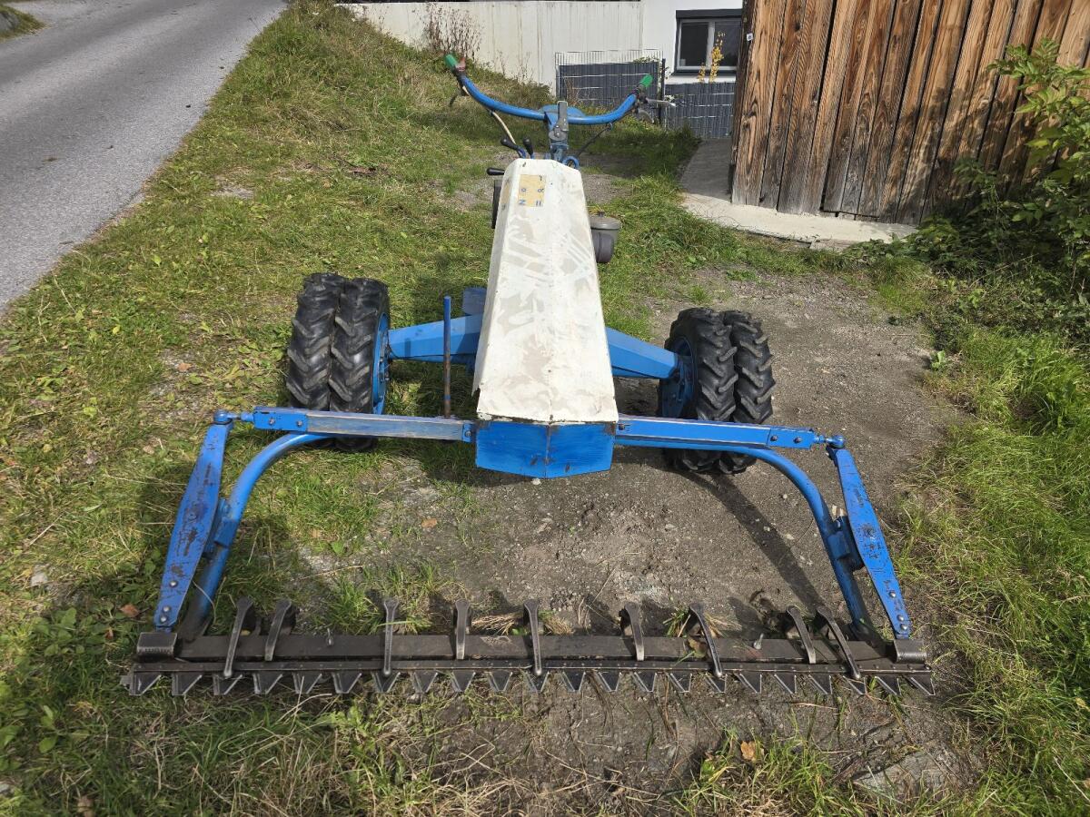 Vogel Noot Jet 1 1