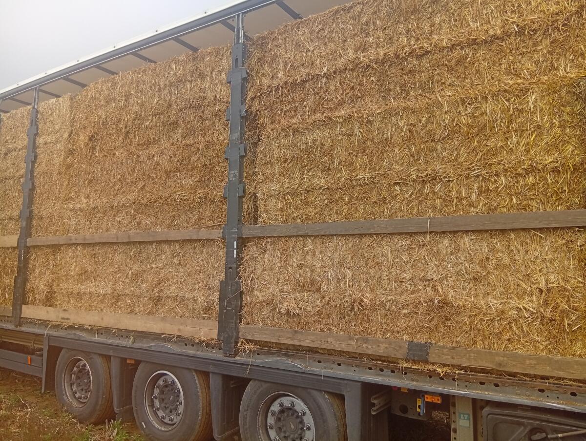 Heuballen, Stroh 2025 3