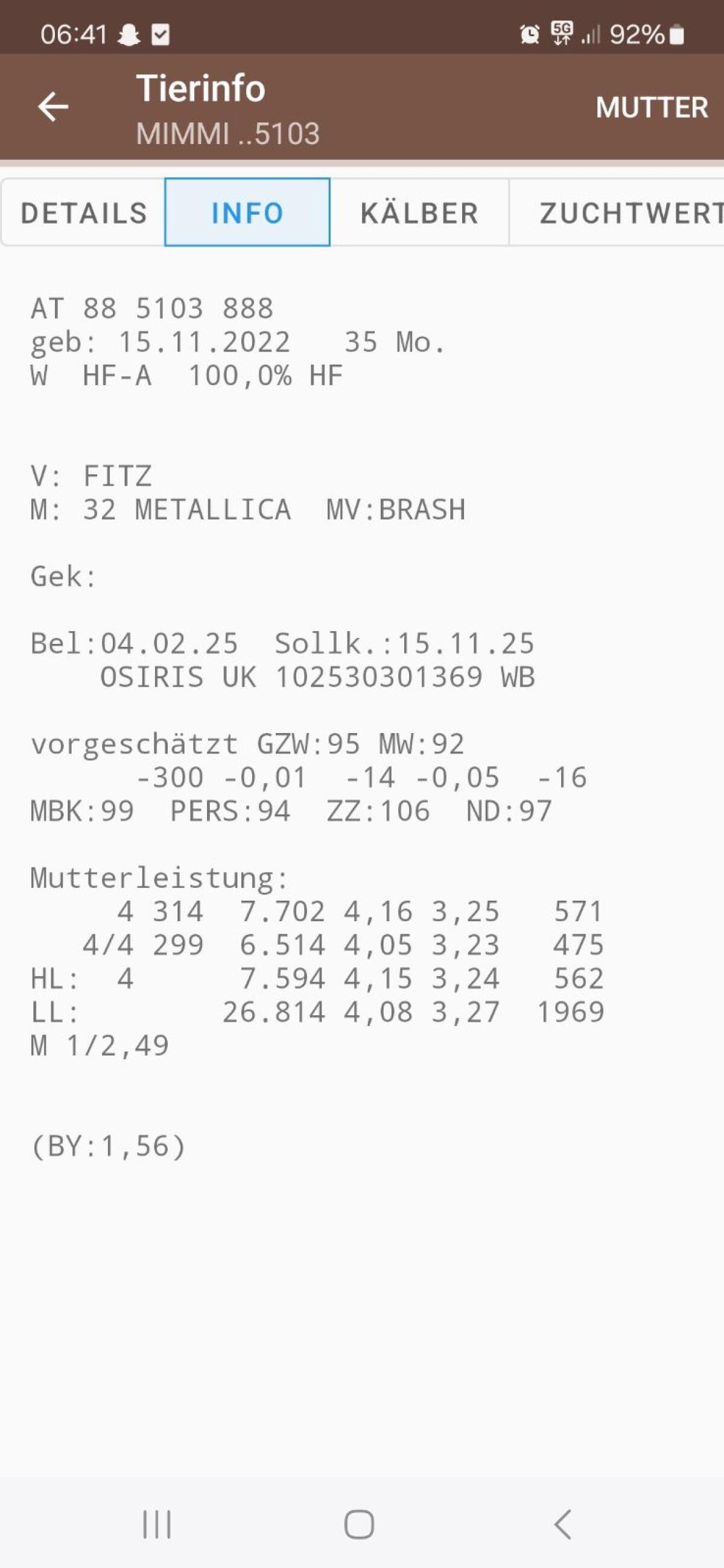 Hochträchtige Bio HF Kalbin 3
