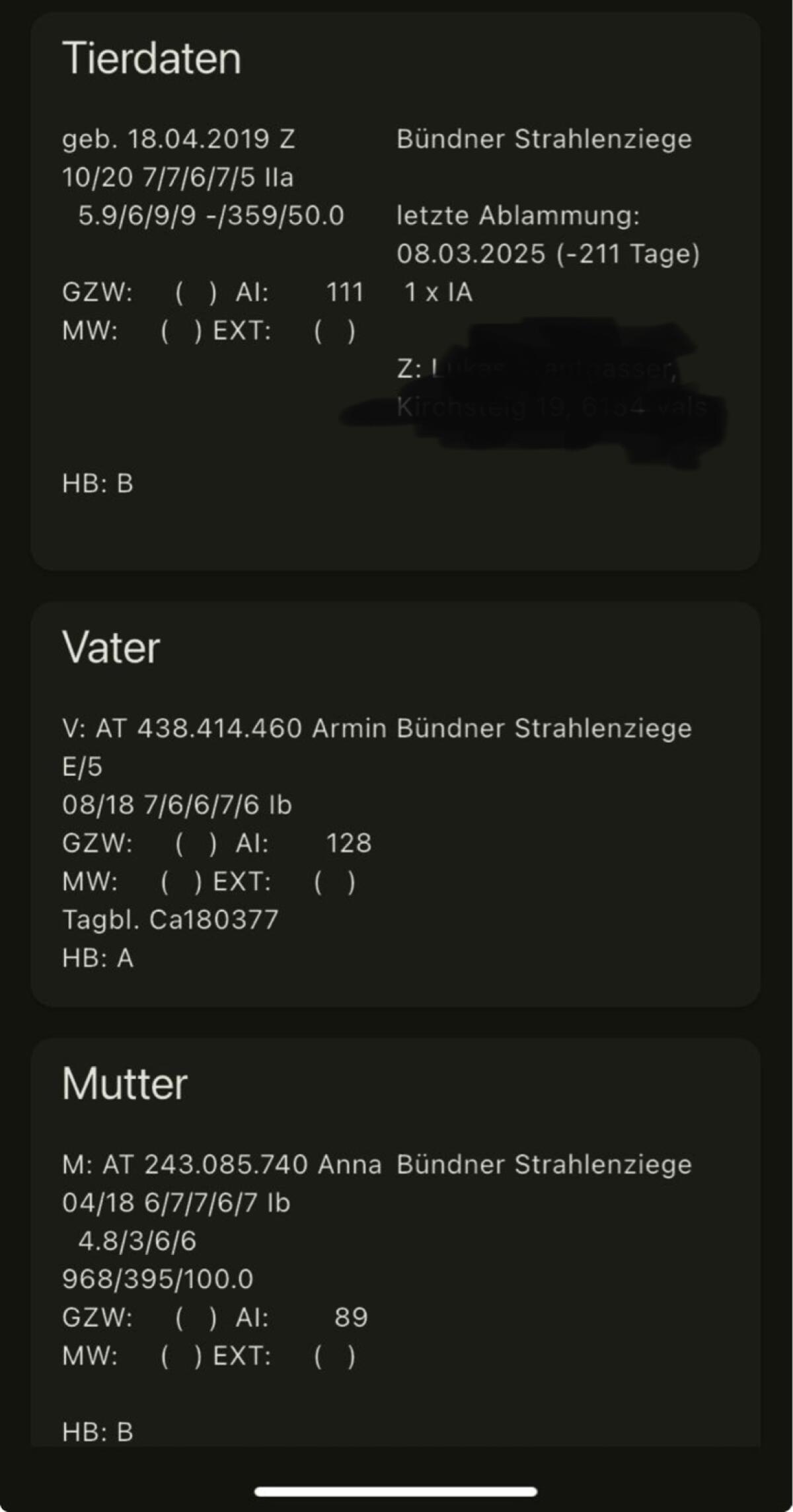 Bündner Strahlenziege 2