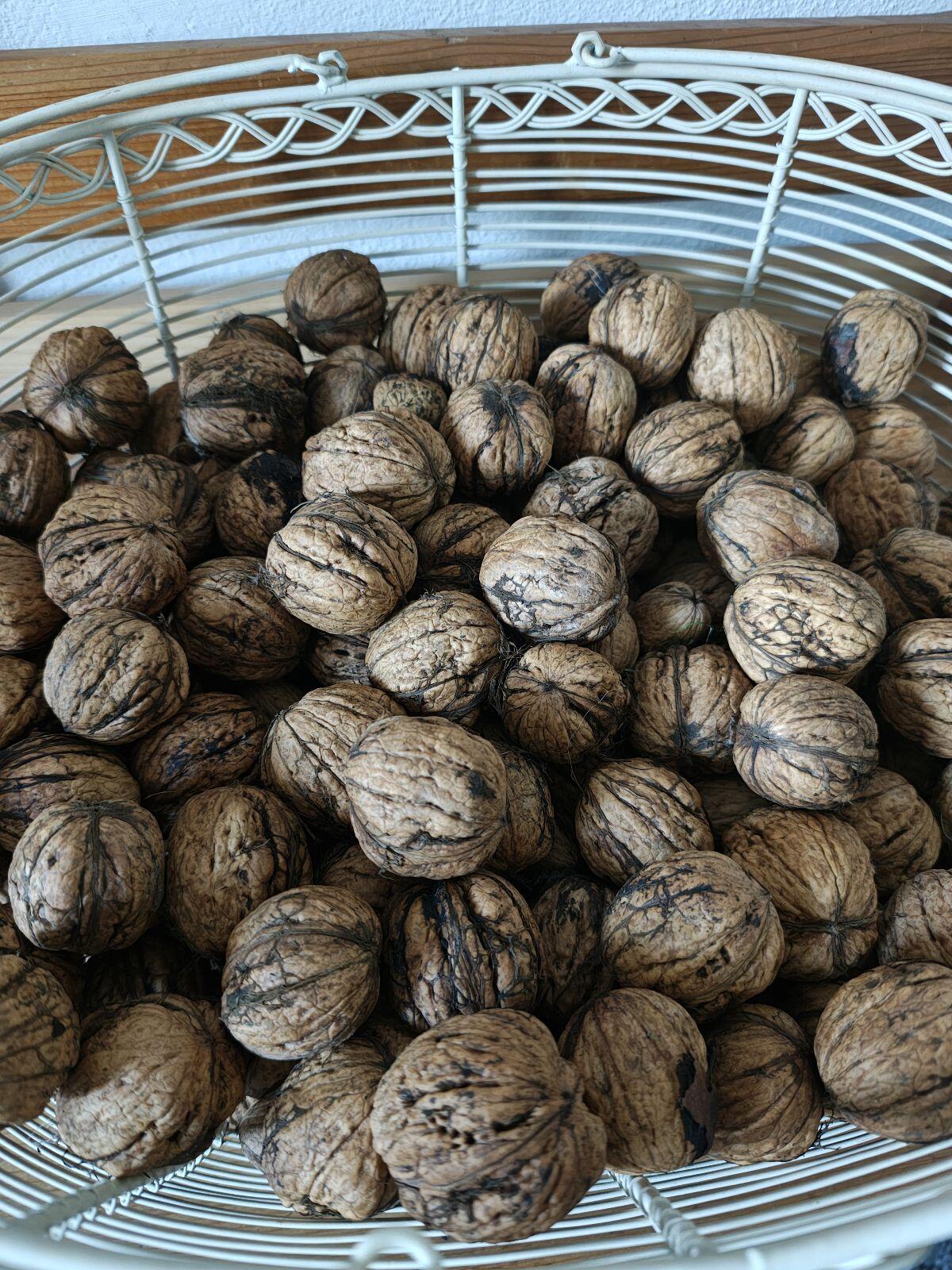 BIO zertifizierte Walnüsse luftgetrocknet Ernte 2025 2