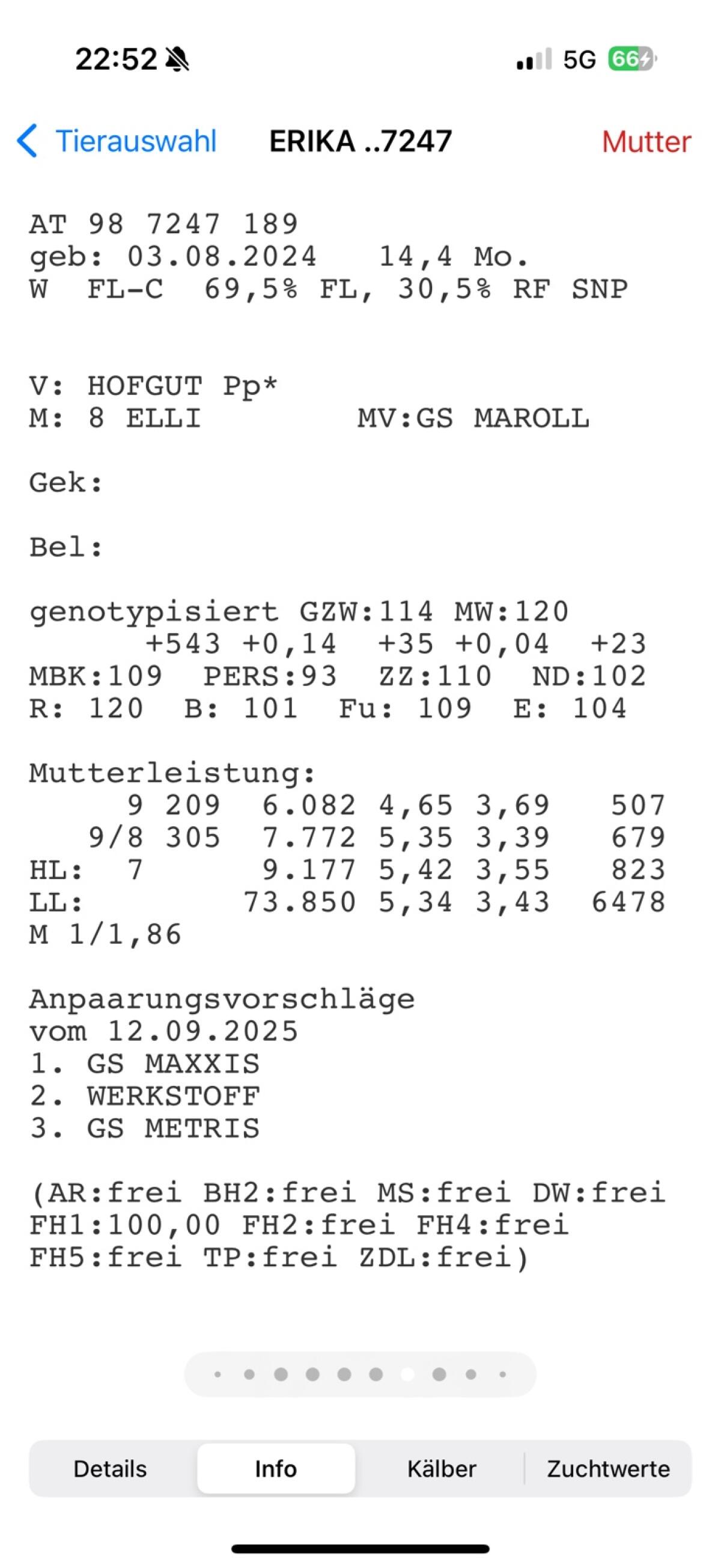 Jungkalbinnen 3