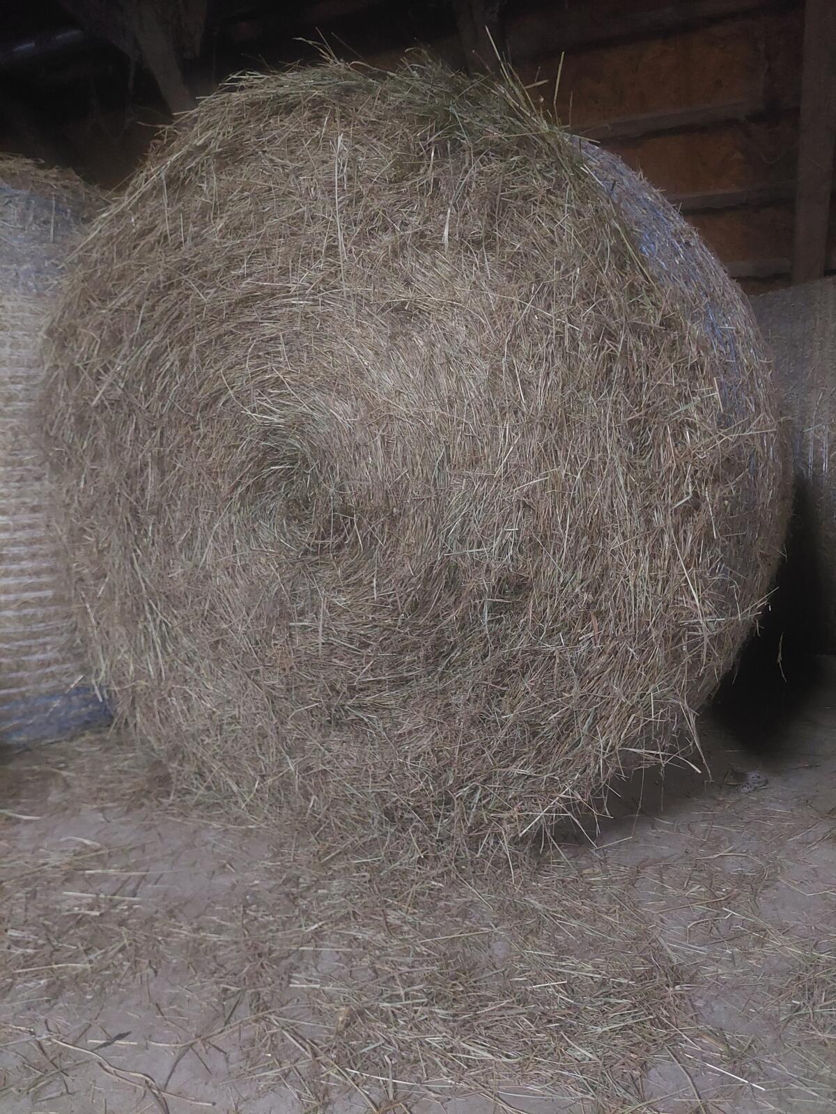 Heu Rundballen 1