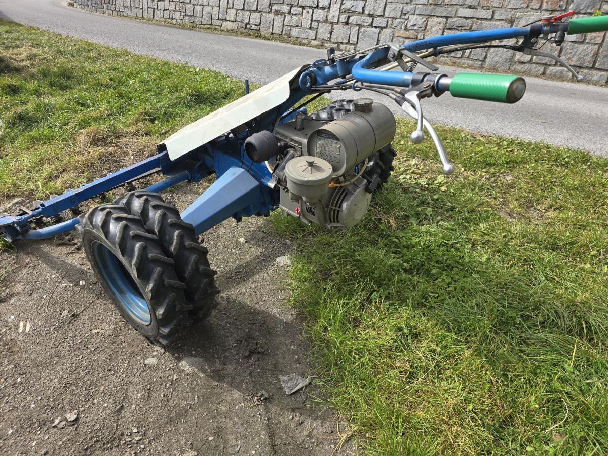 Vogel Noot Jet 1 2