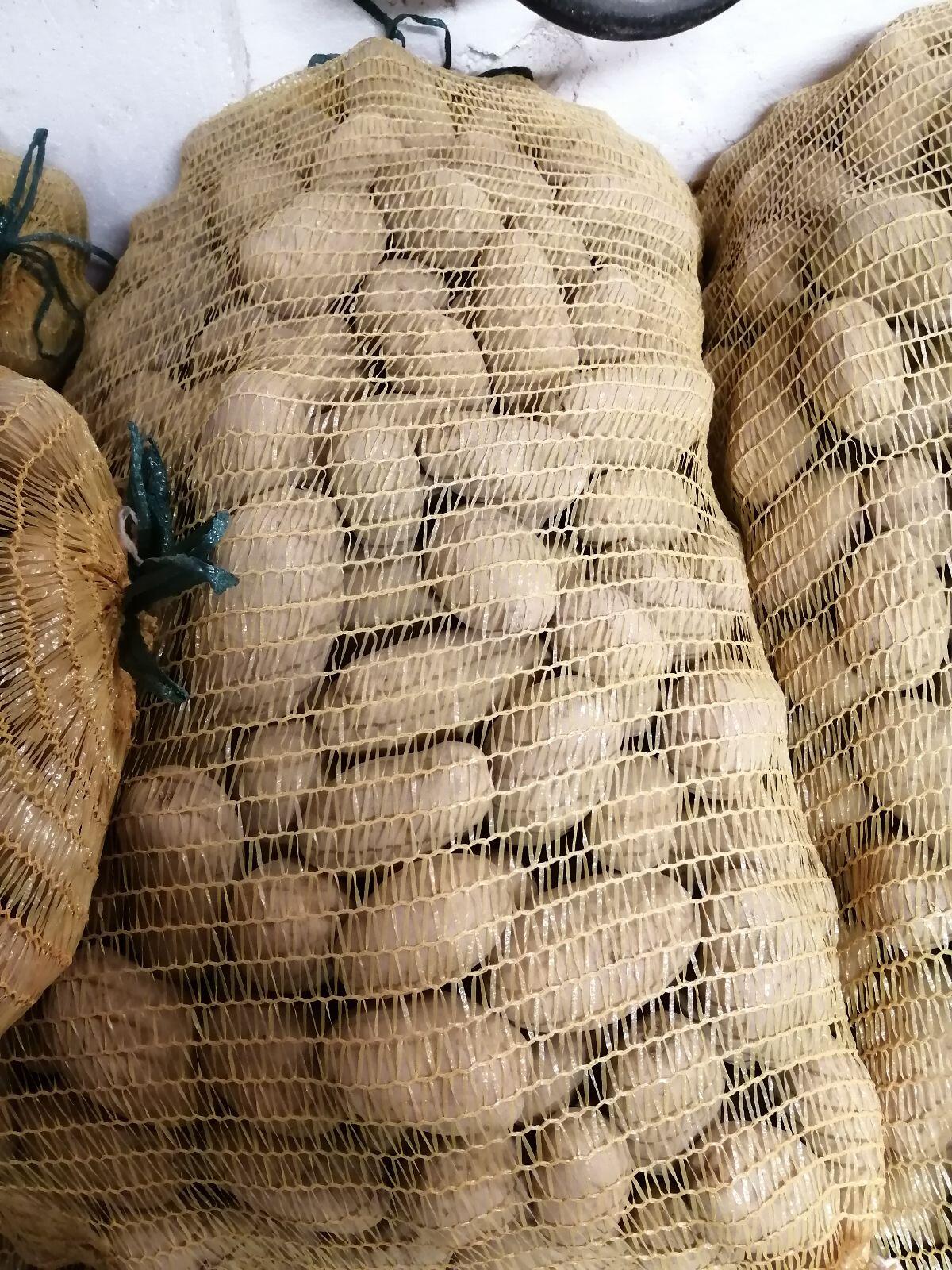 Kartoffeln 1
