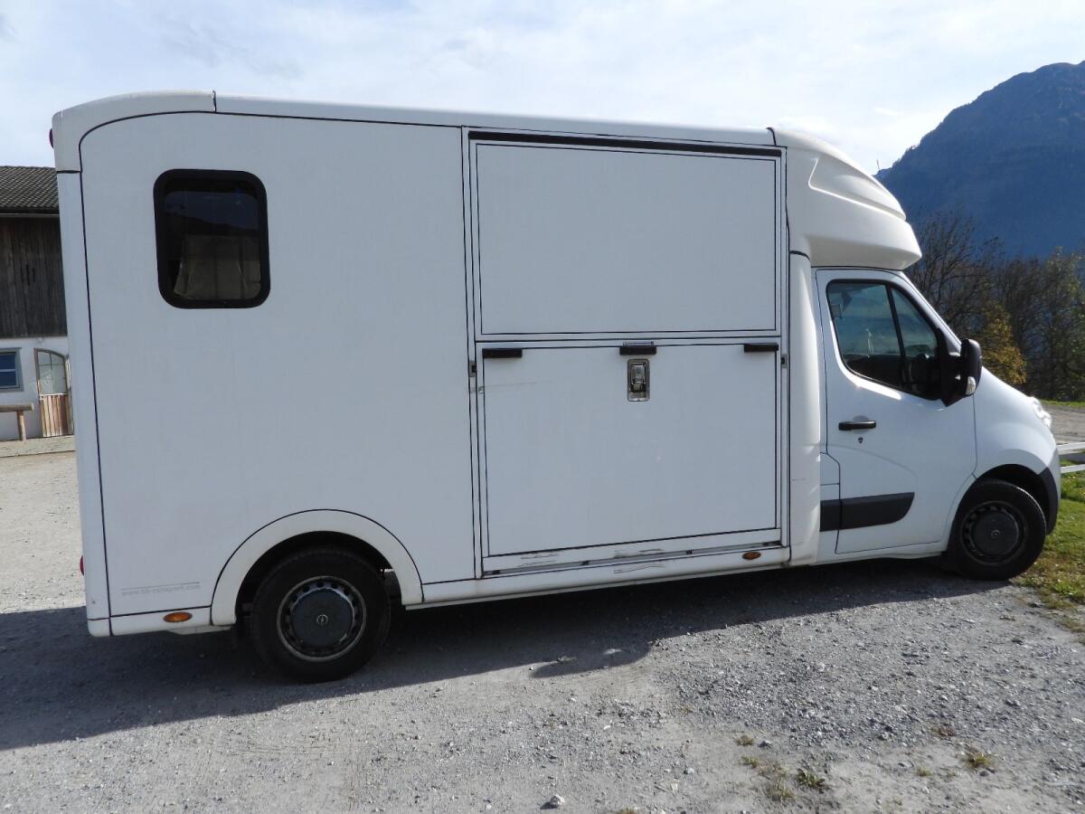 Pferdetransporter Paragan Equistar 3XL (Opel Movano) 3