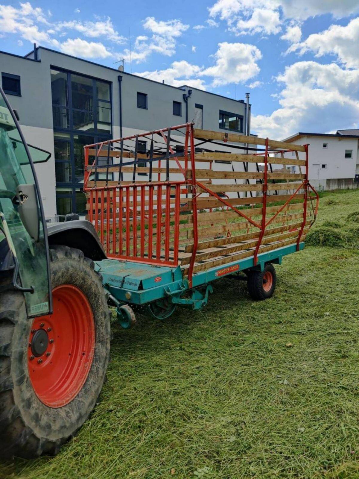 Steyr Hamster Junior 2