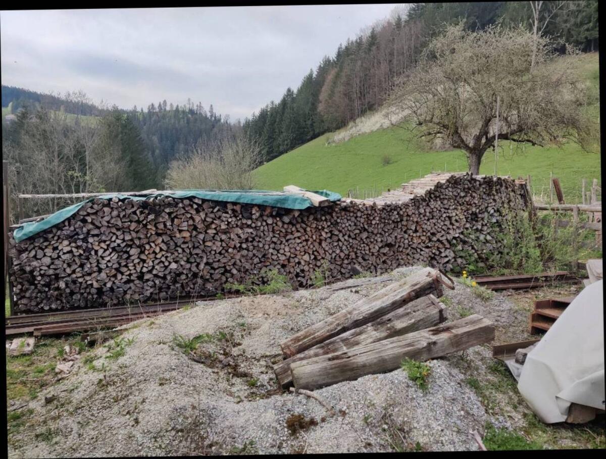 Brennholz 3