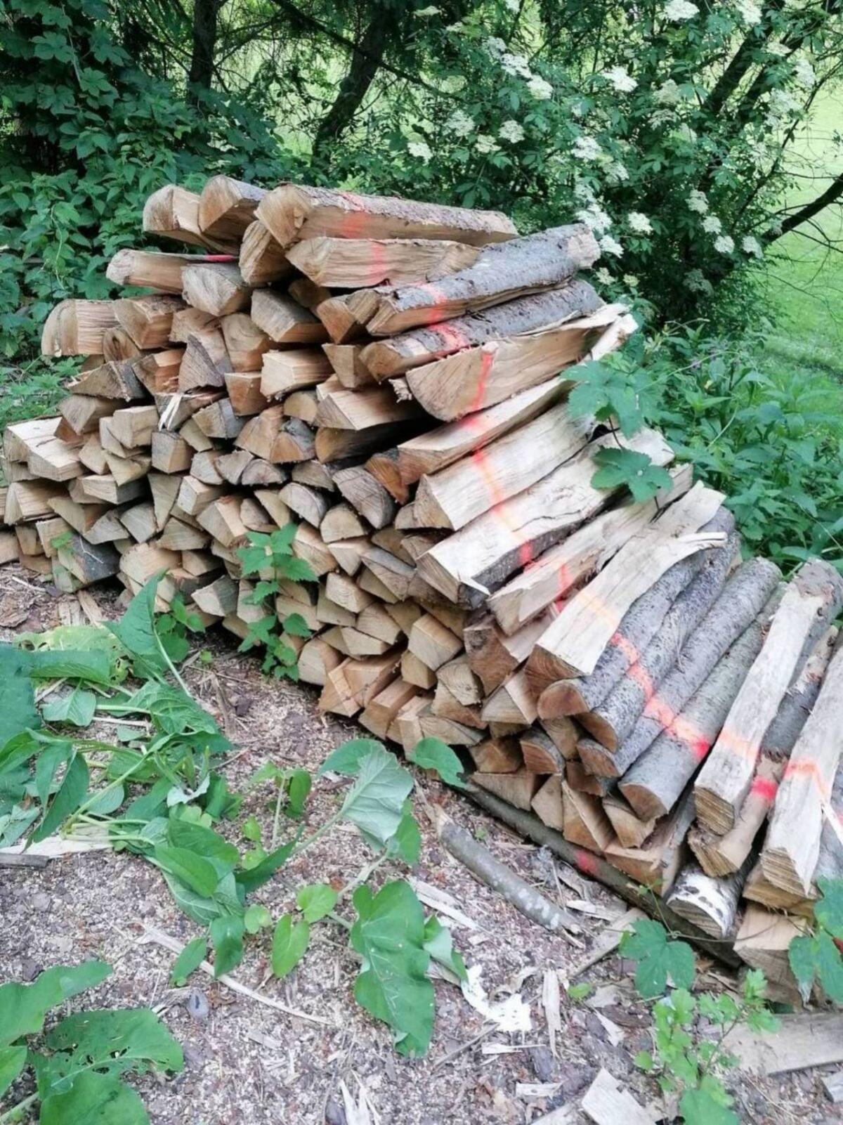 Brennholz hart/weich 1