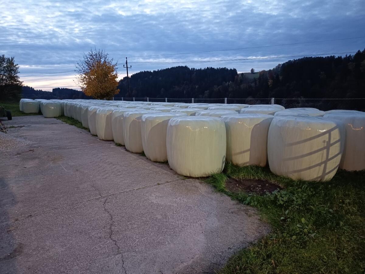 Gärheu, Heu, Pferdefutter 3