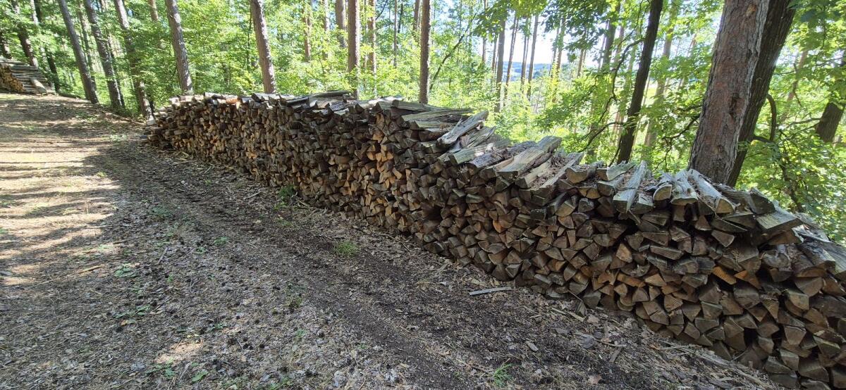 Buchenbrennholz 3