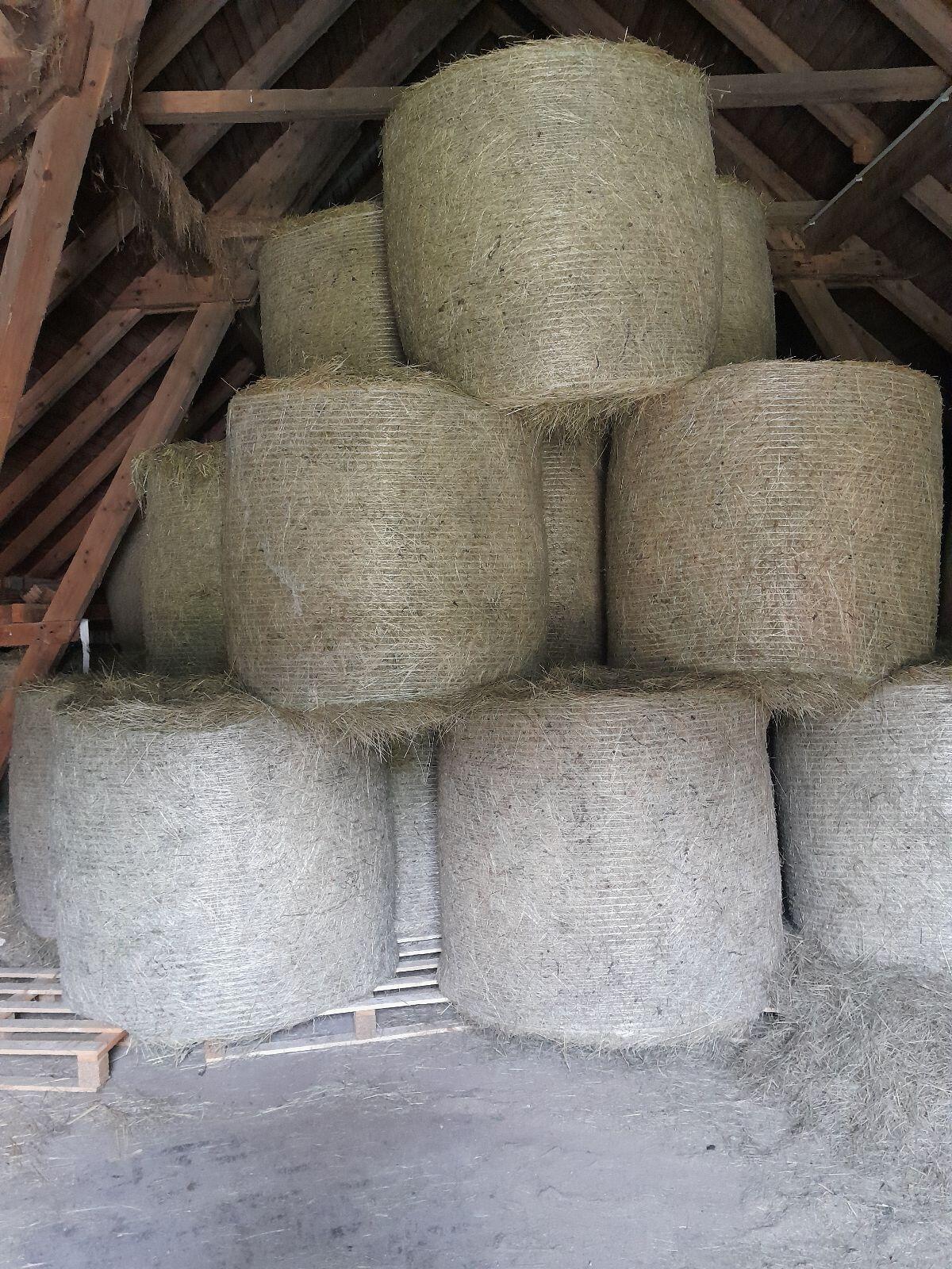 Top Heuballen 1