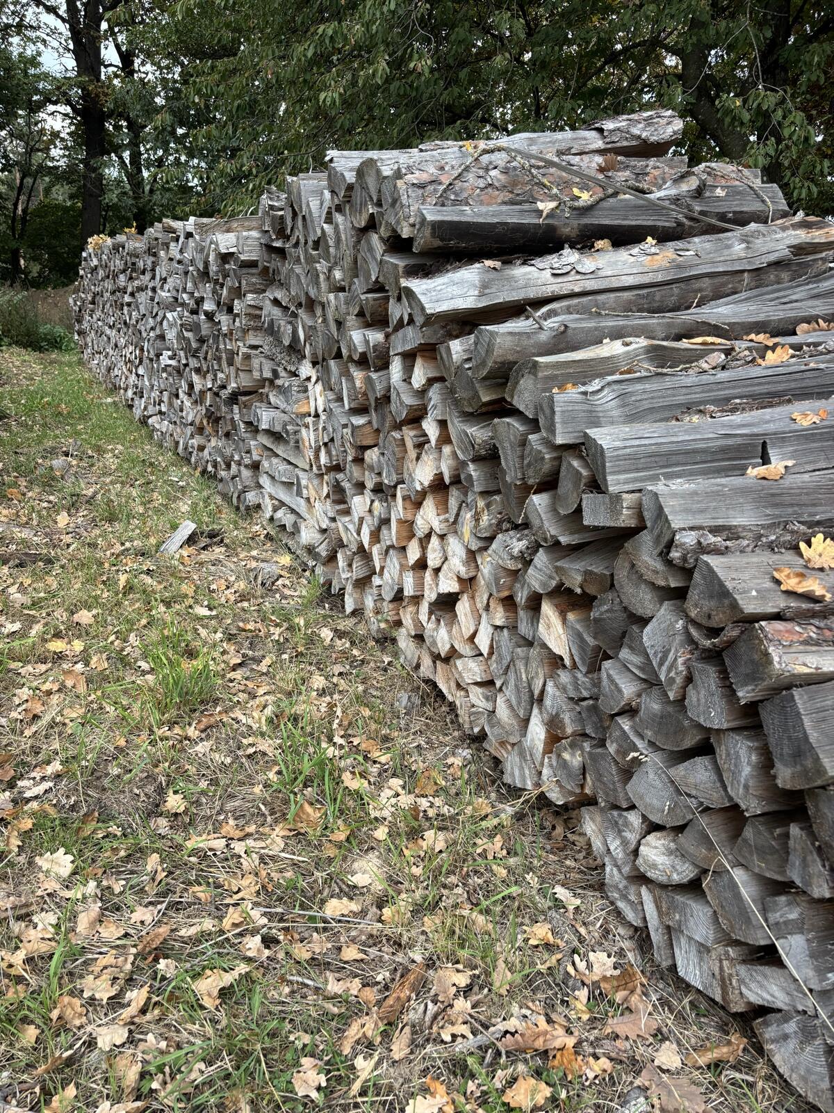 Brennholz zu verkaufen 1