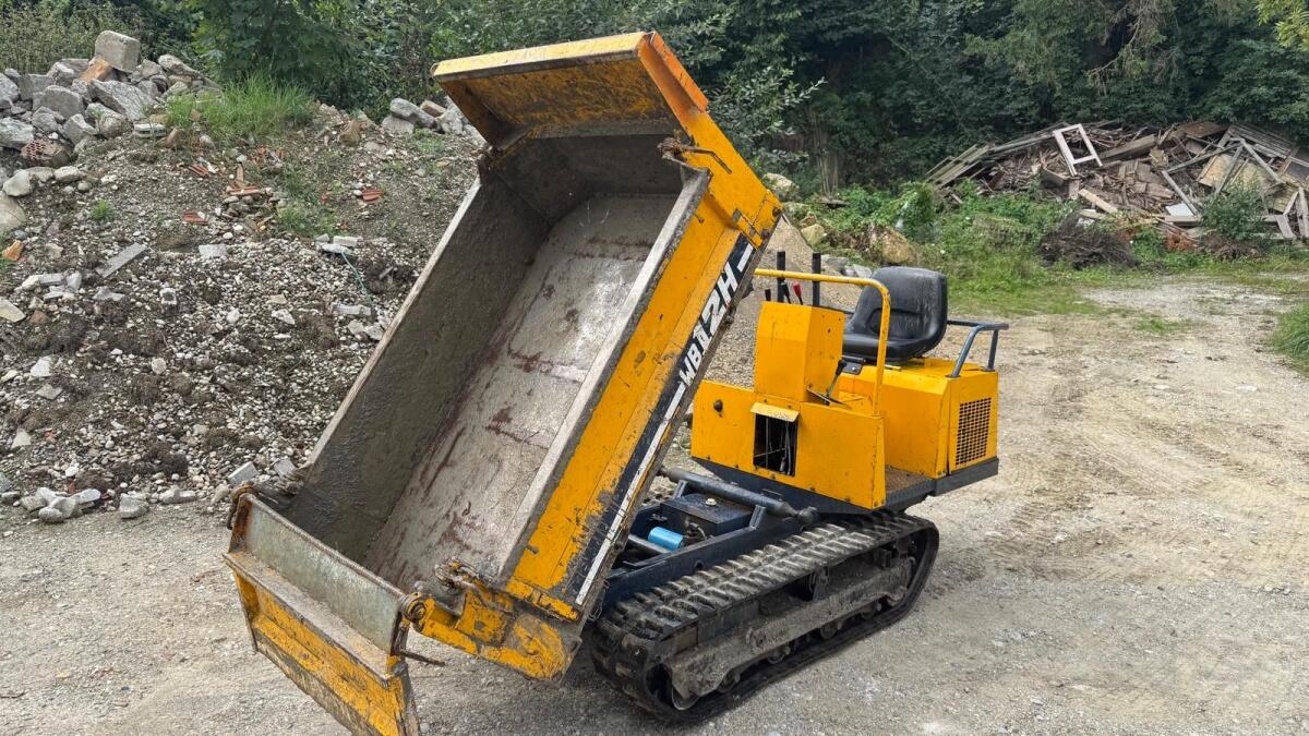 Raupentransporter Raupendumper 3