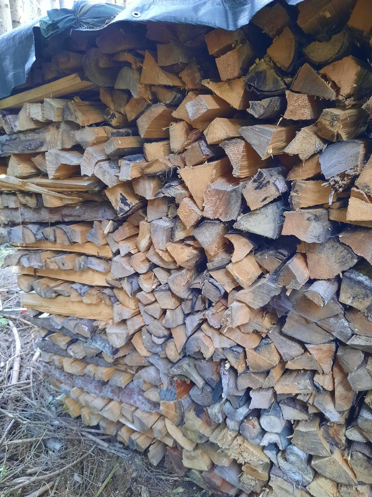 Brennholz Fichte 1