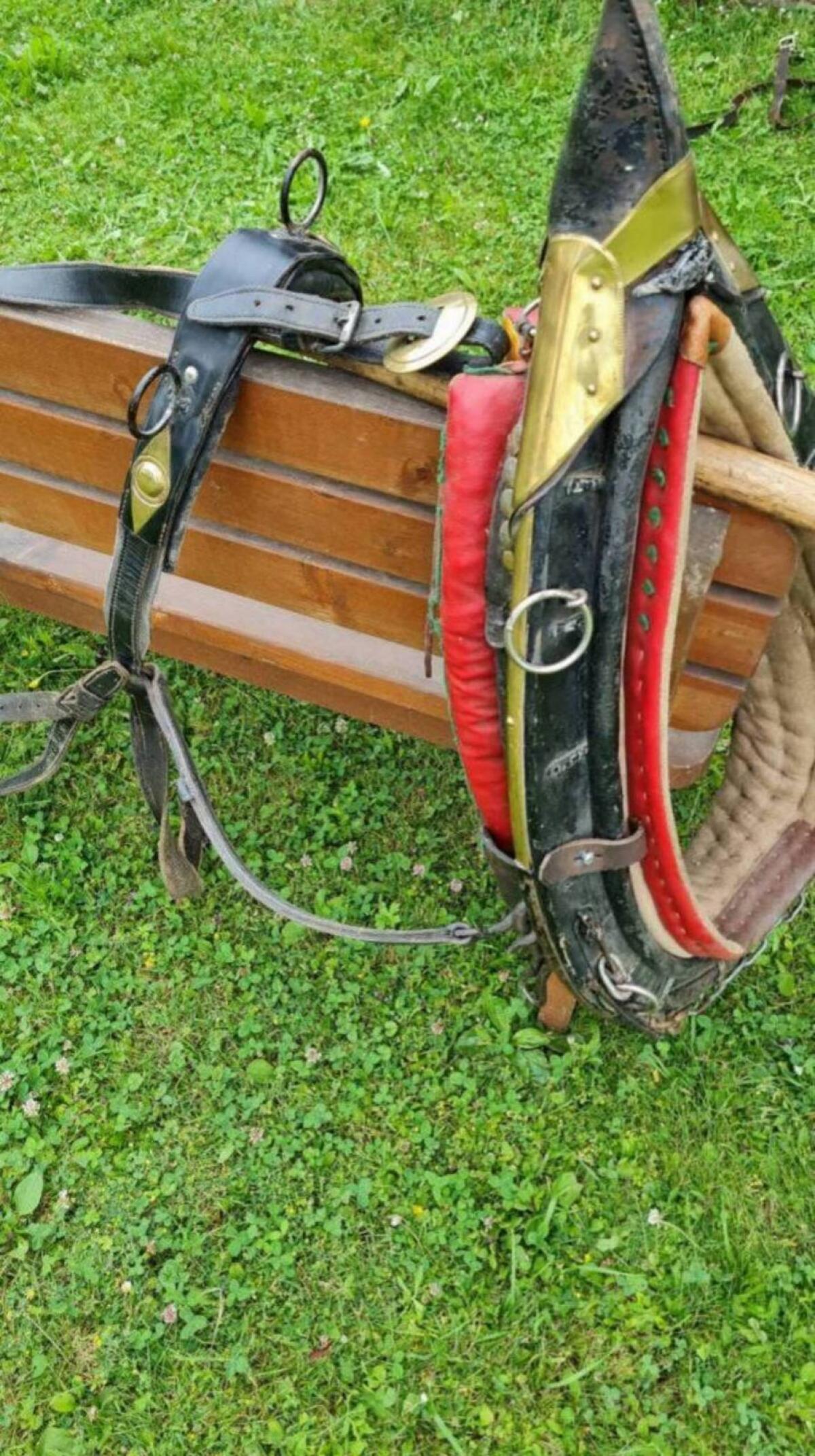 Haflinger Kummtgeschirr 3