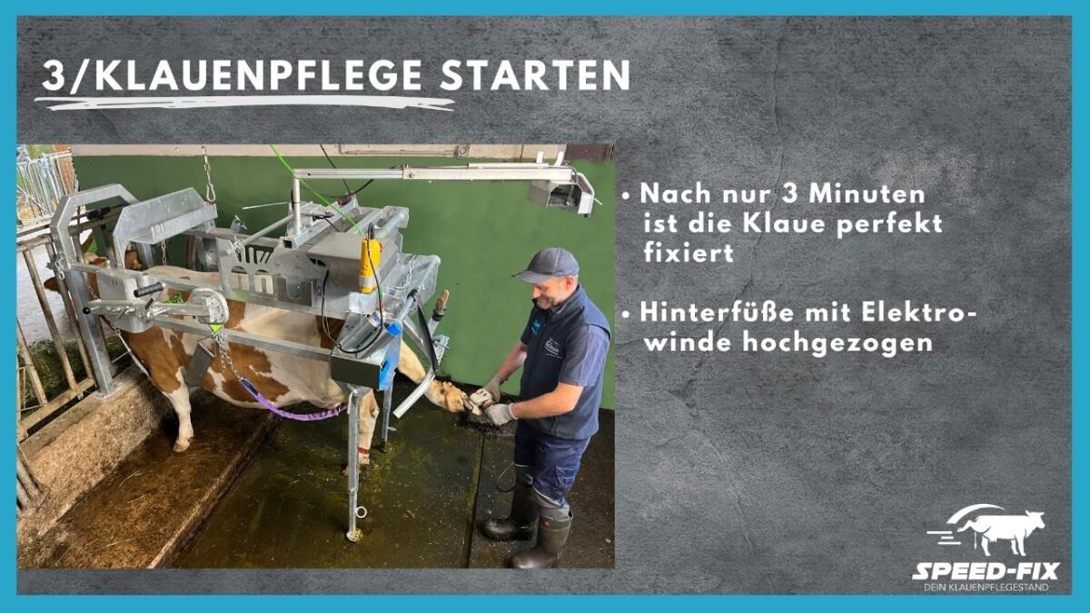 Speed-Fix Klauenpflegestand 3
