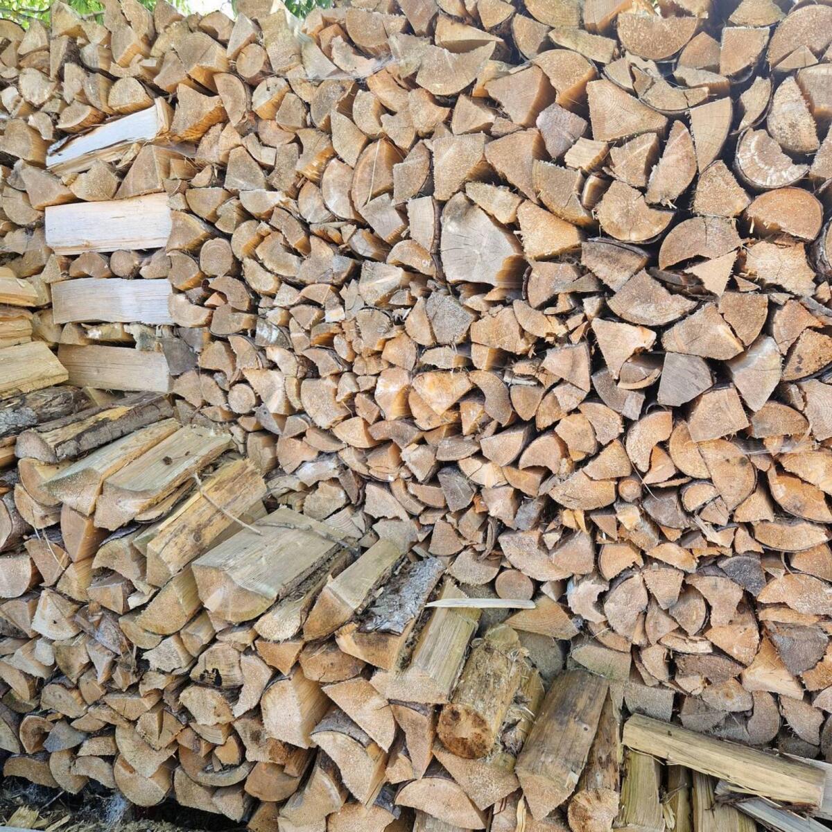 Brennholz Fichte 1