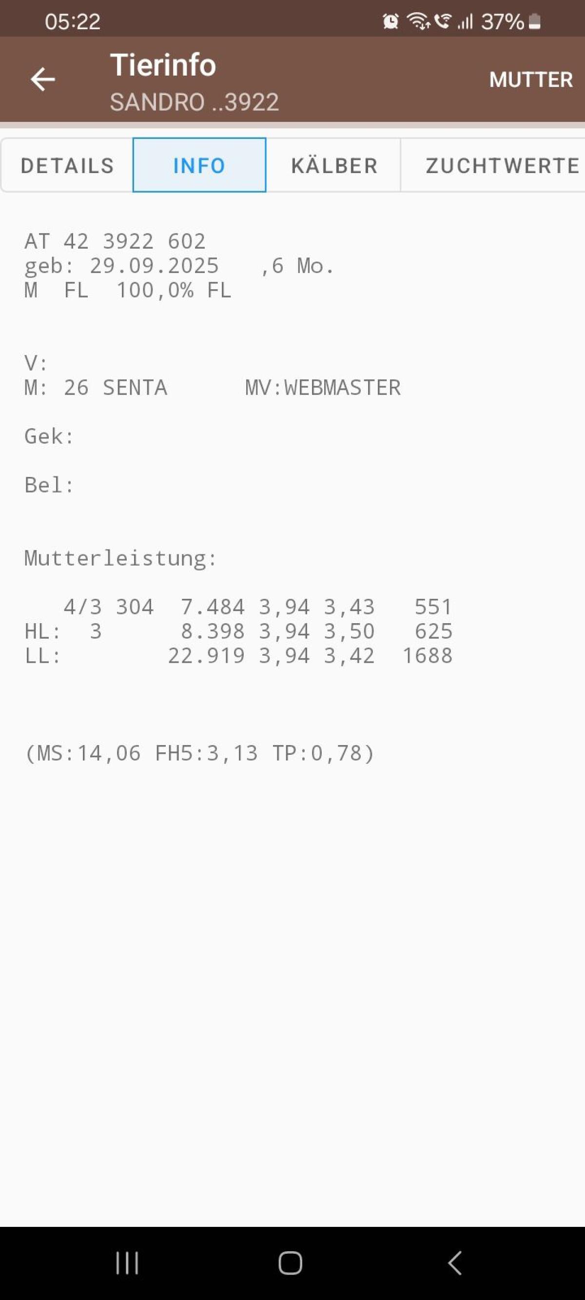 FV x BA Kalb männlich 3