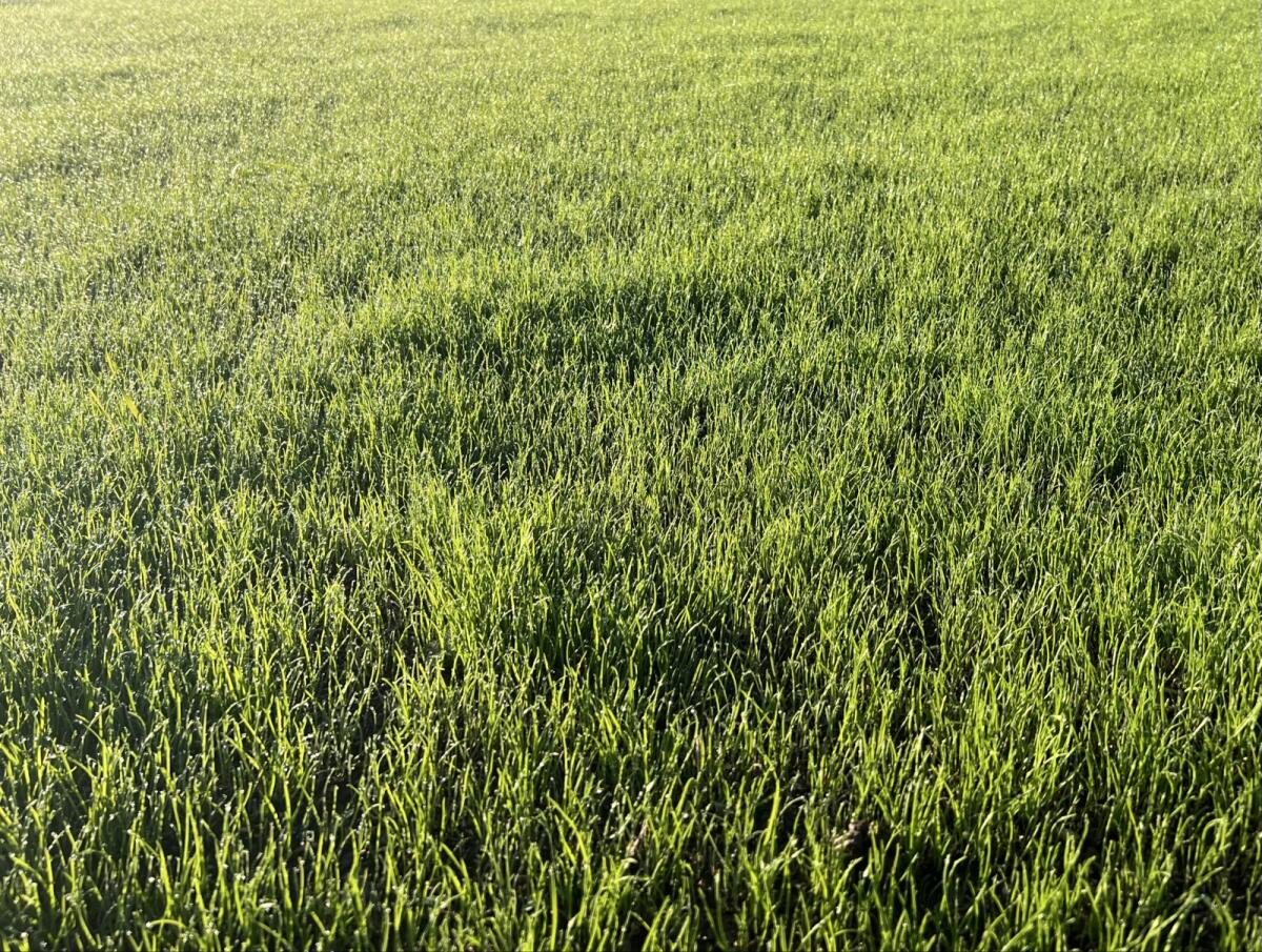 Suche landwirtschaftliche Fläche 1