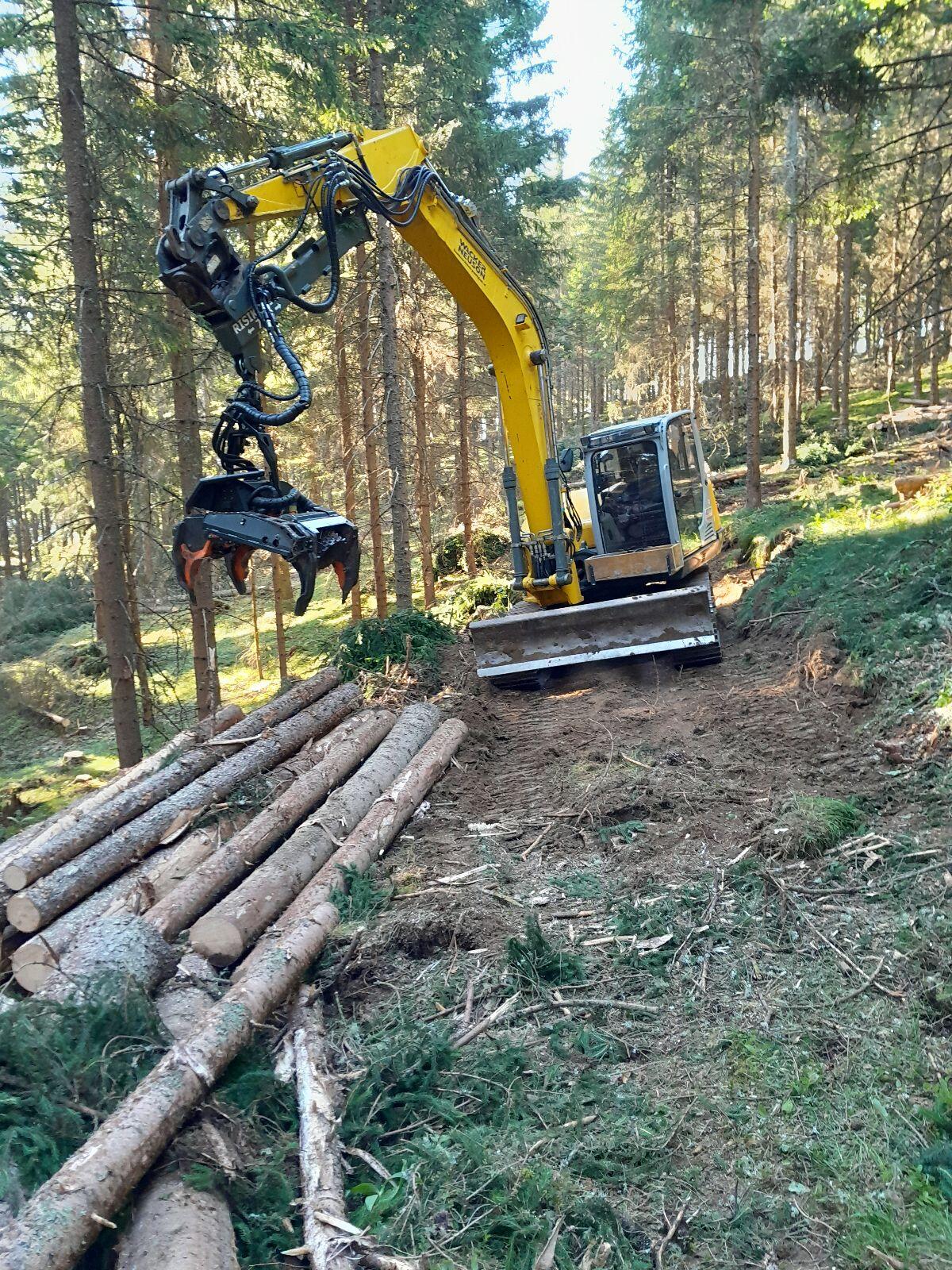 Holzernte, Schlägerung, Bringung 3