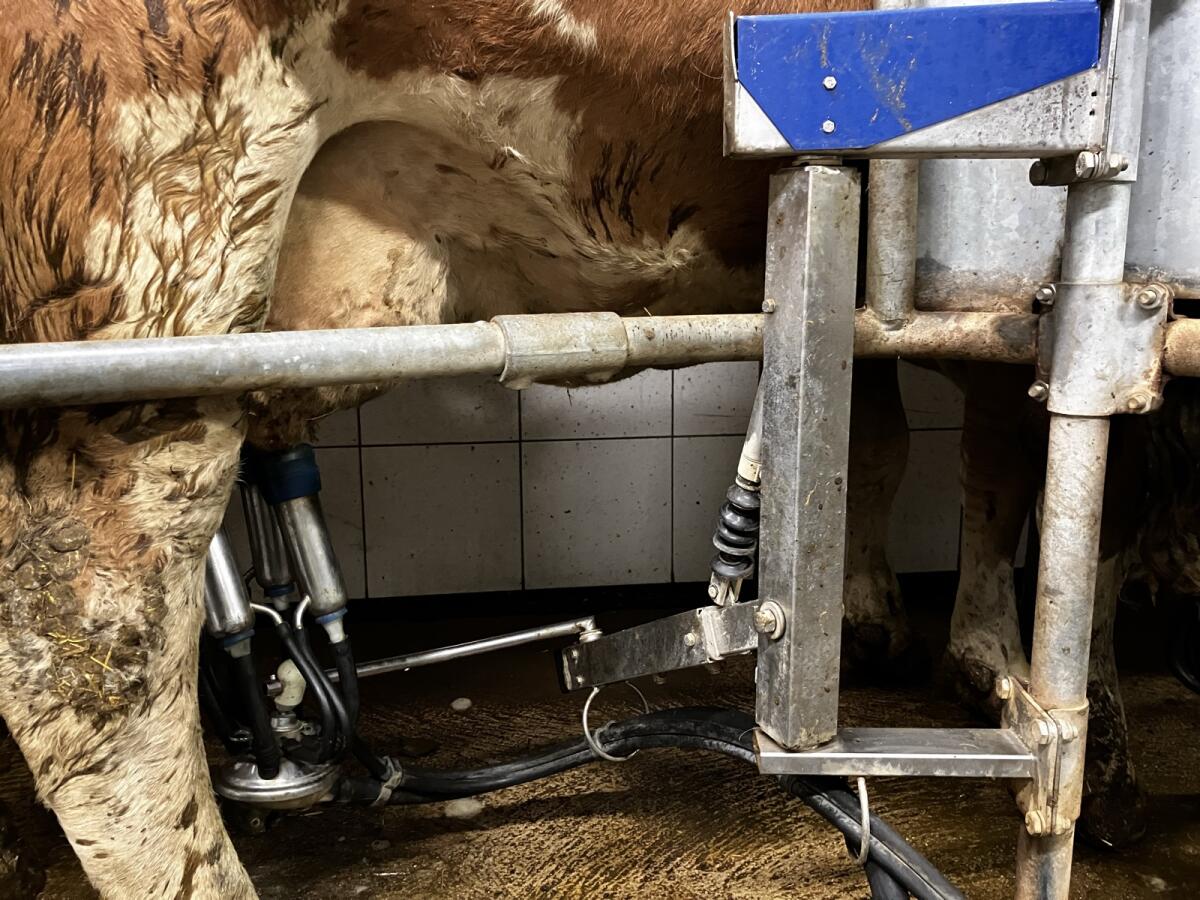 Impulsa Melkanlage, Futterstation, Milchtank 2