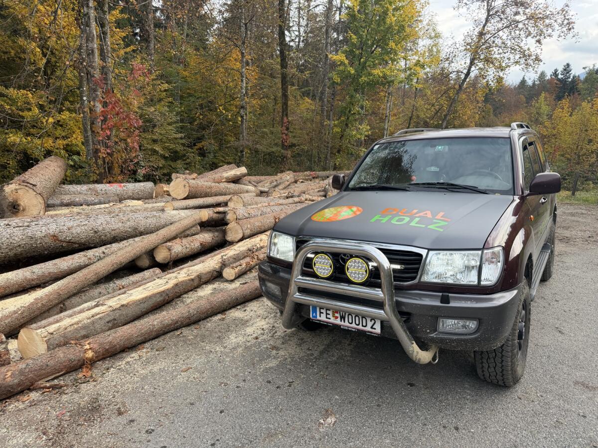 Kaufe Rundholz 1