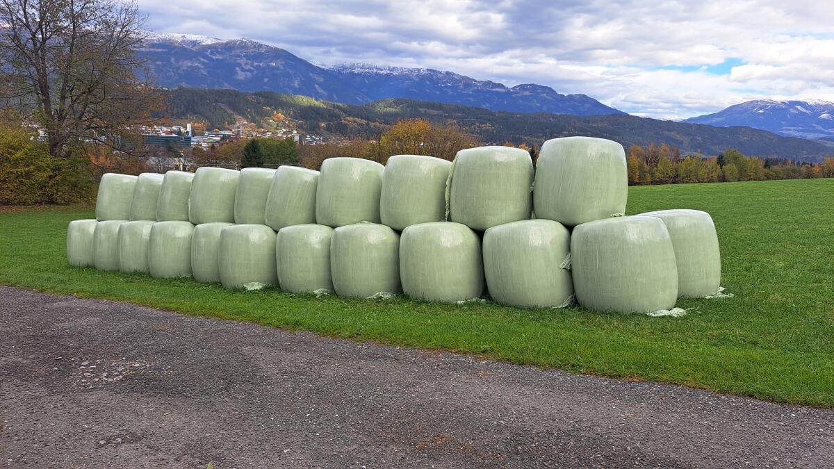 Maisballen 1