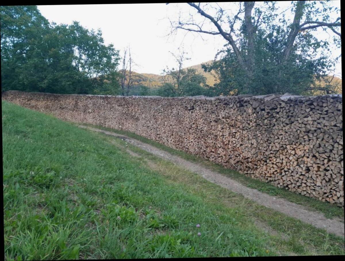 Brennholz 2