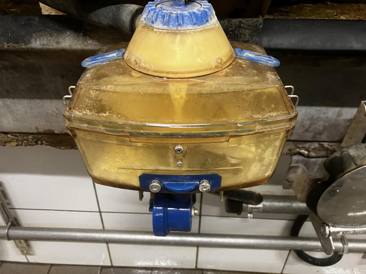 Impulsa Melkanlage, Futterstation, Milchtank 3