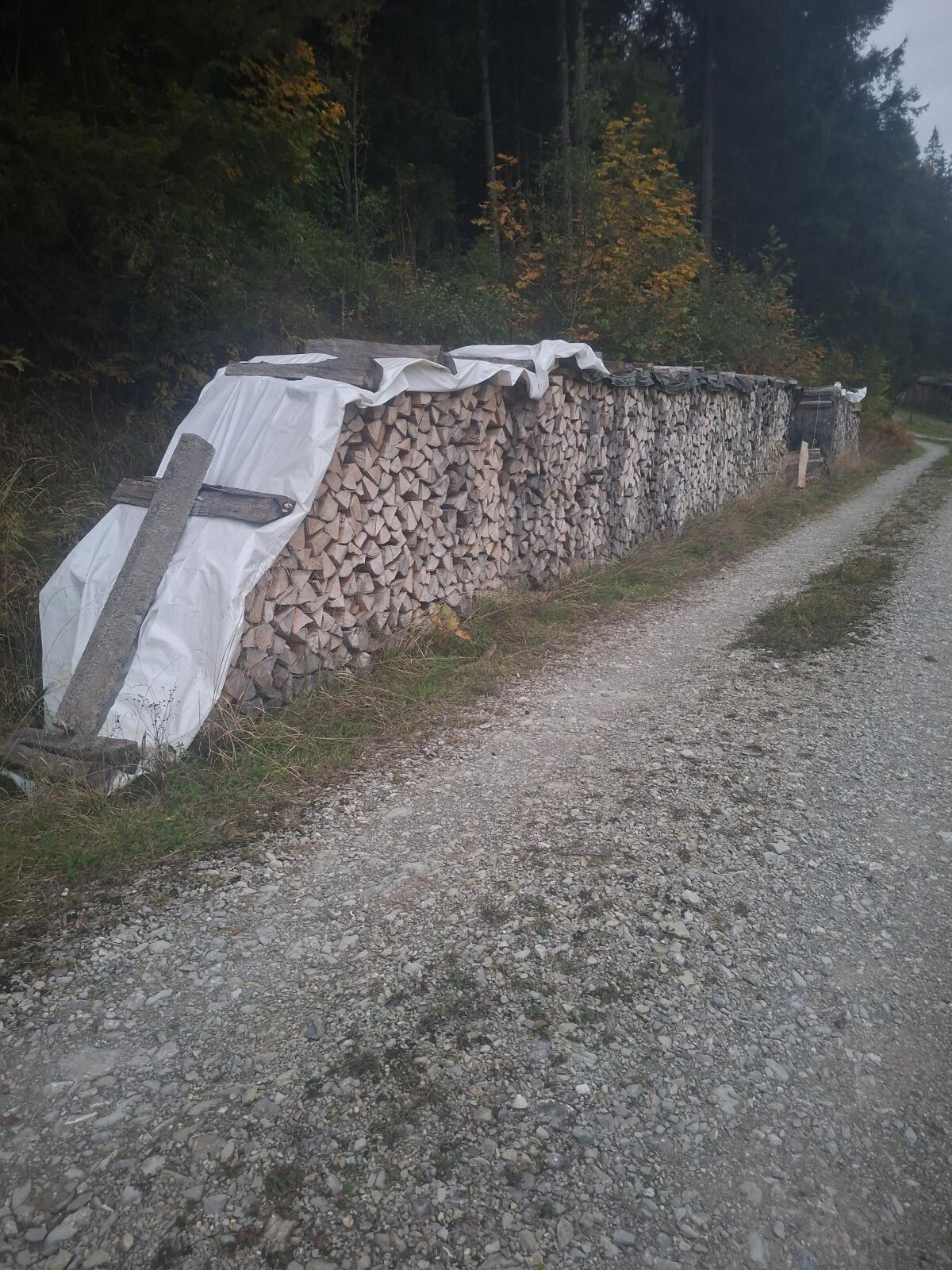 Brennholz 1