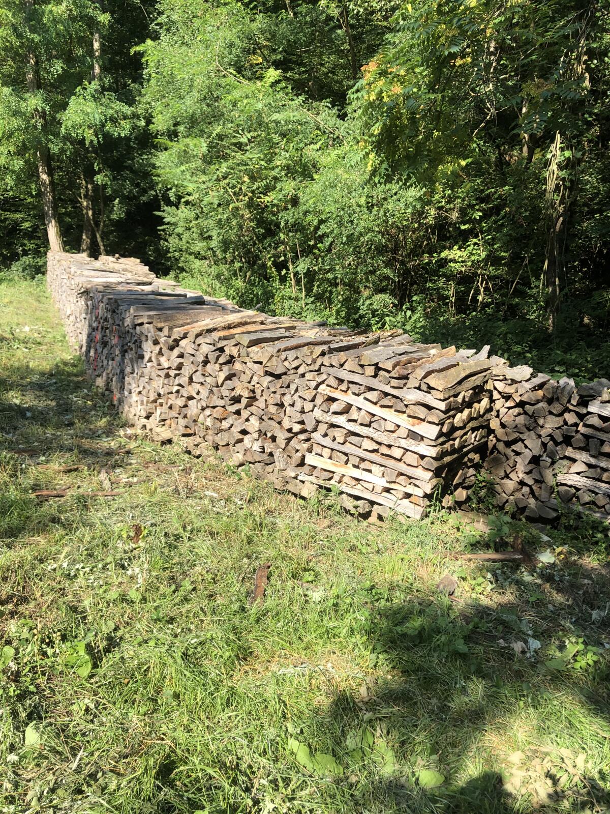 Trockenes Brennholz 3