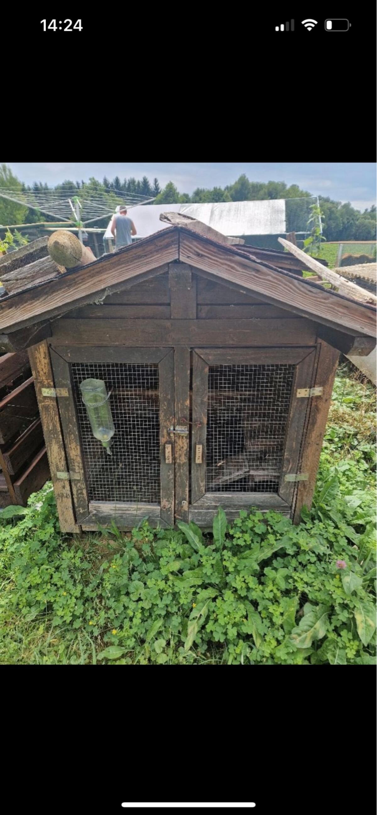 Meerschweinchen mit Stall 2