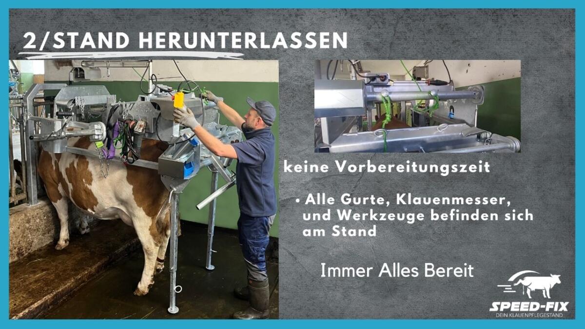 Speed-Fix Klauenpflegestand 2