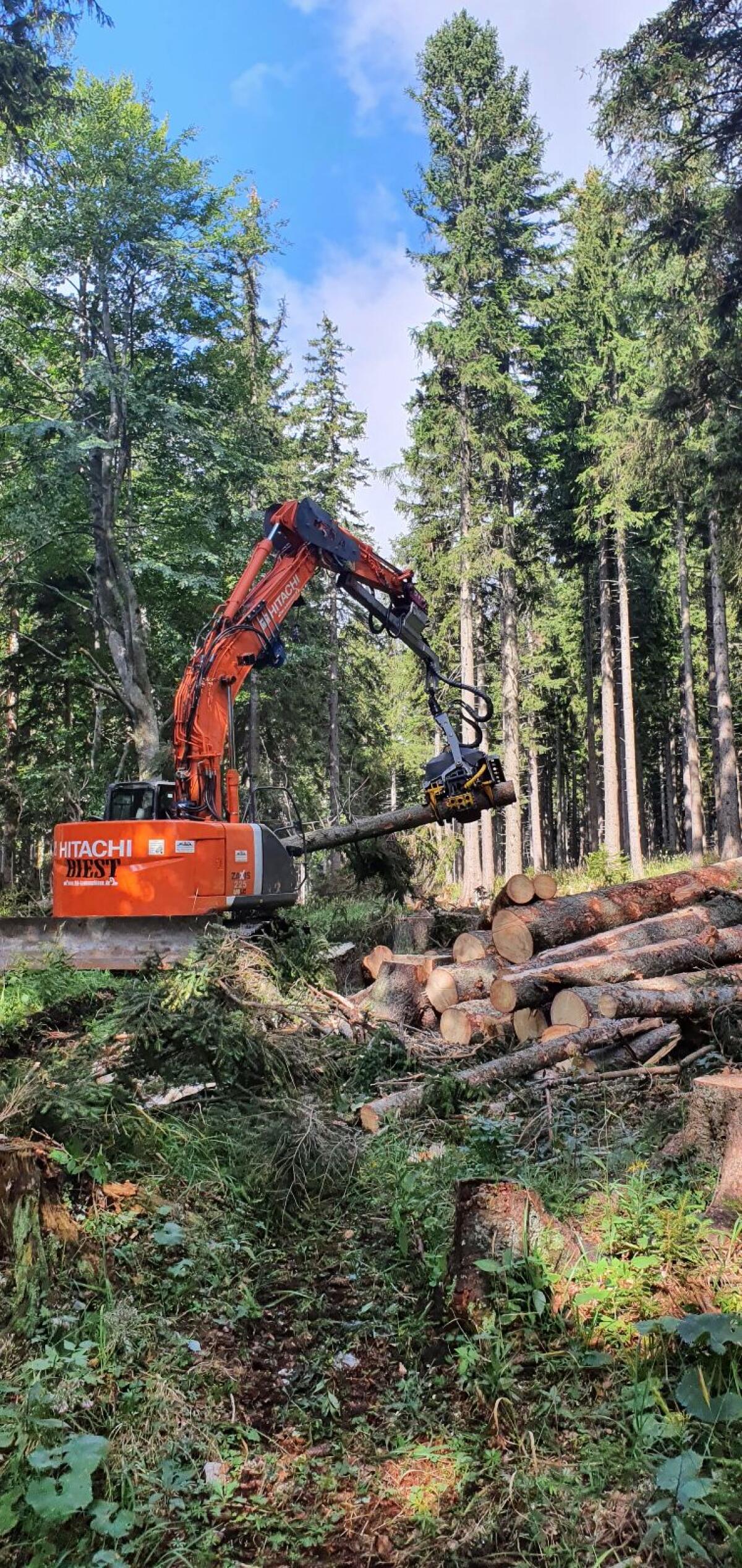 Verkaufe Bagger Prozessor Hitachi 225 2