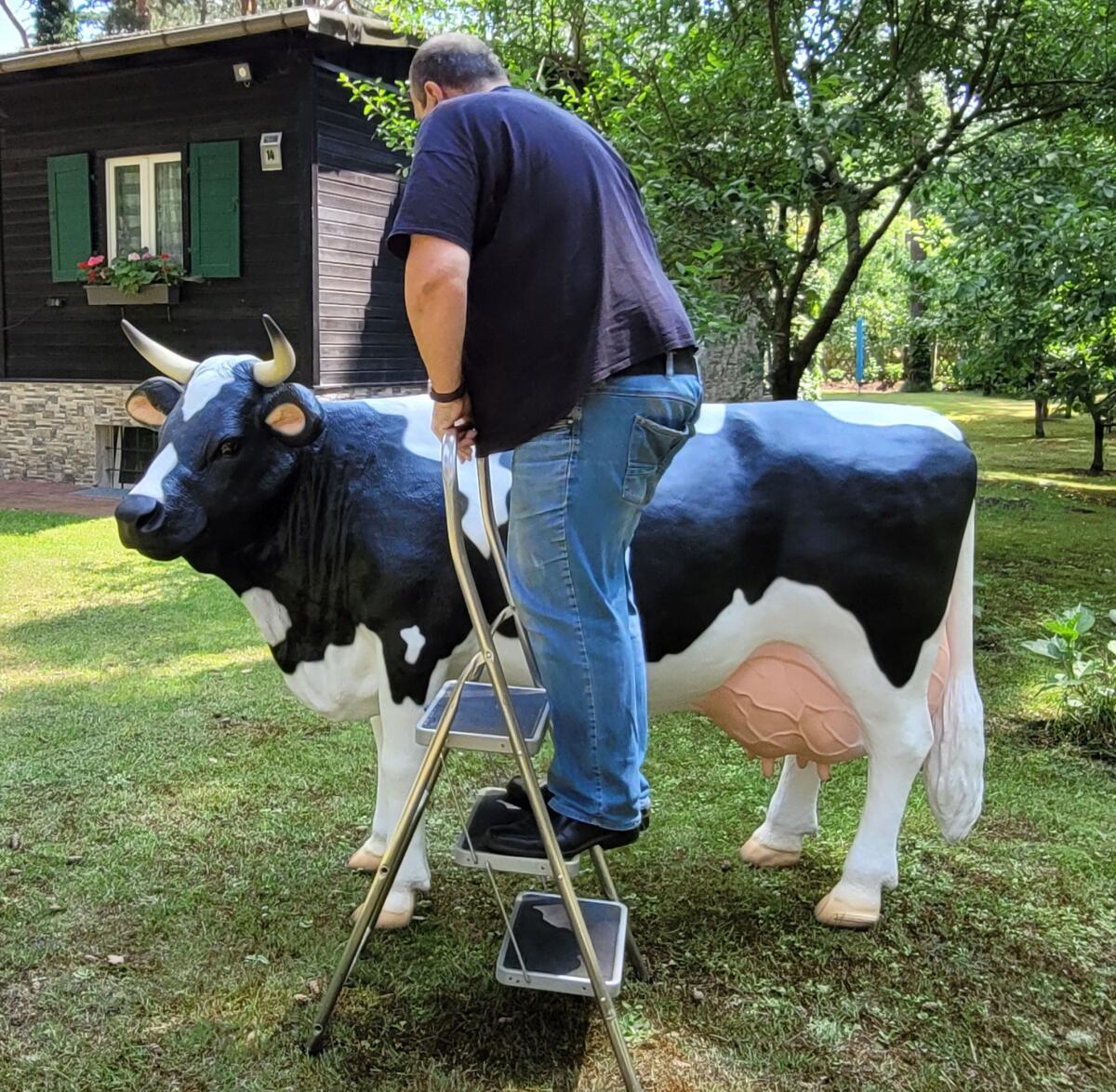Kühe von der Alm, 3D Kuh & Kalb - Modelle lebensgroß 2