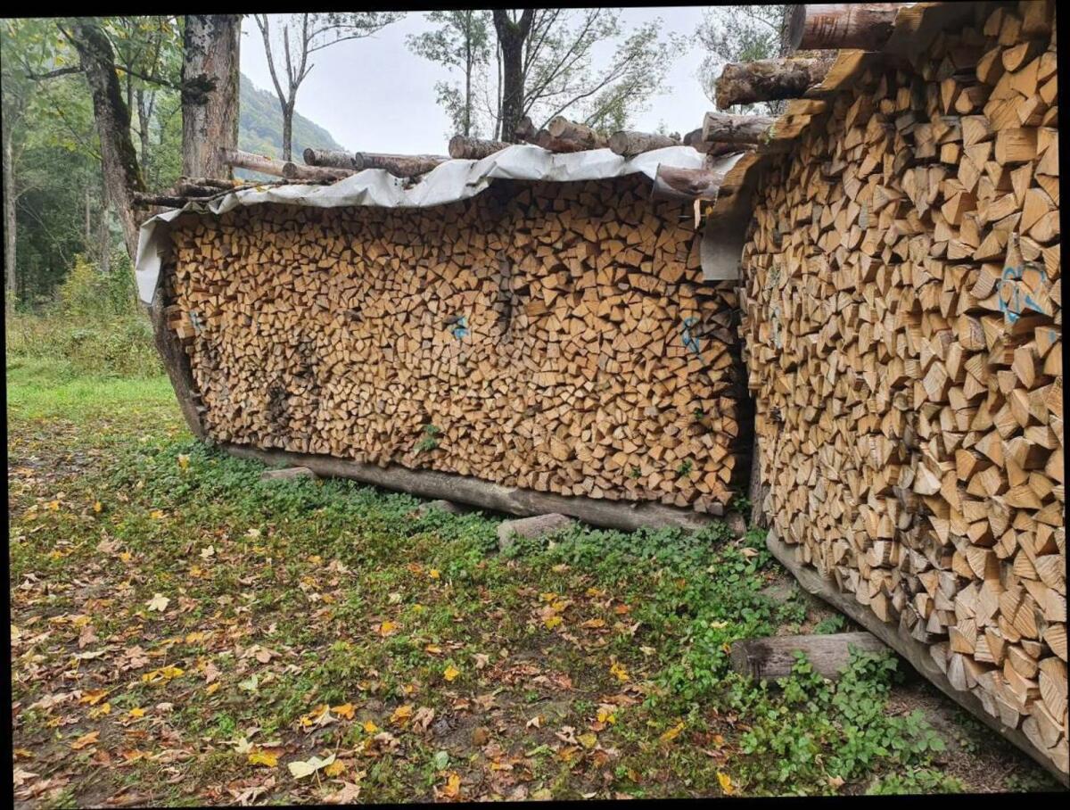 Brennholz 2