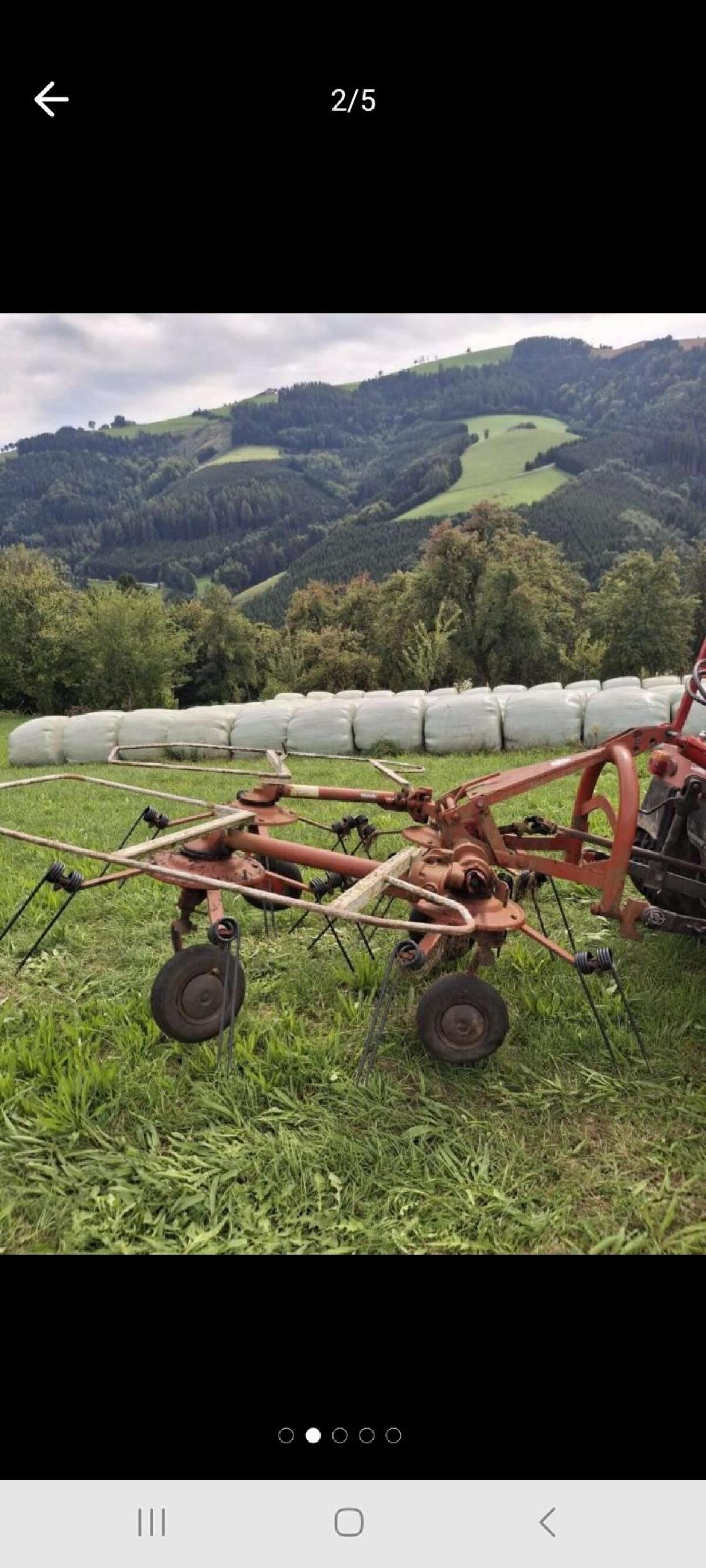 Kreisler 2