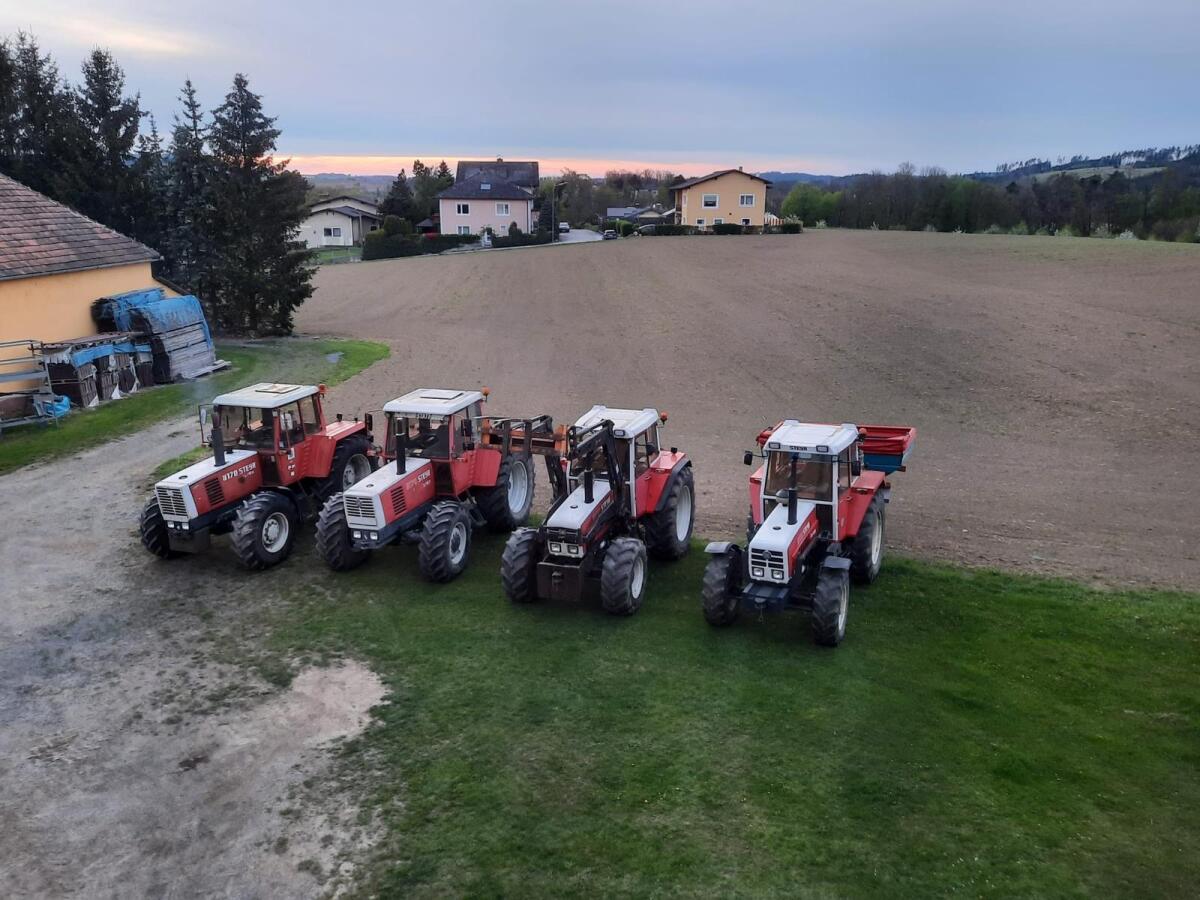 Suche Steyr 80er Serie 2